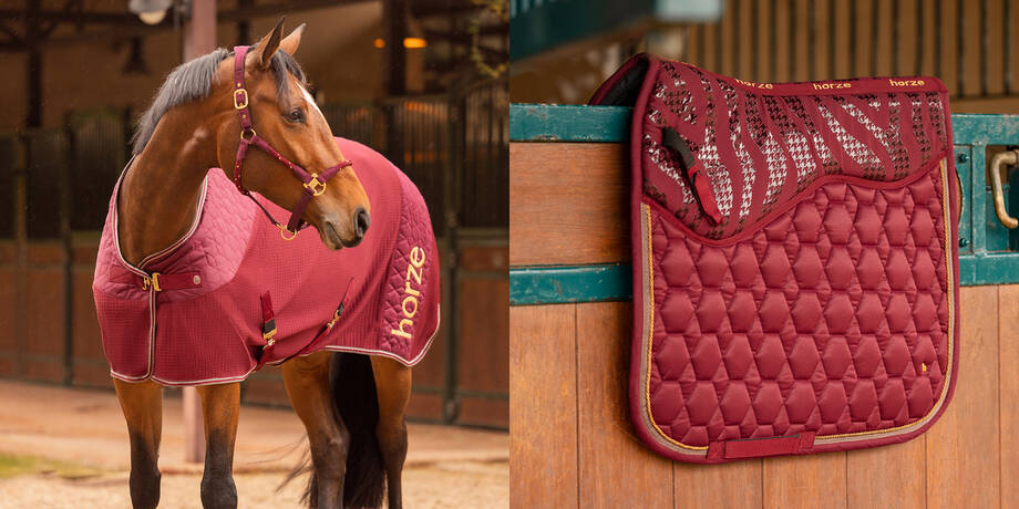 Hästutrustning & hästsaker