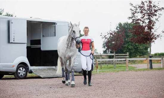 Lasta hästen i hästtransporten på ett lätt och säkert sätt