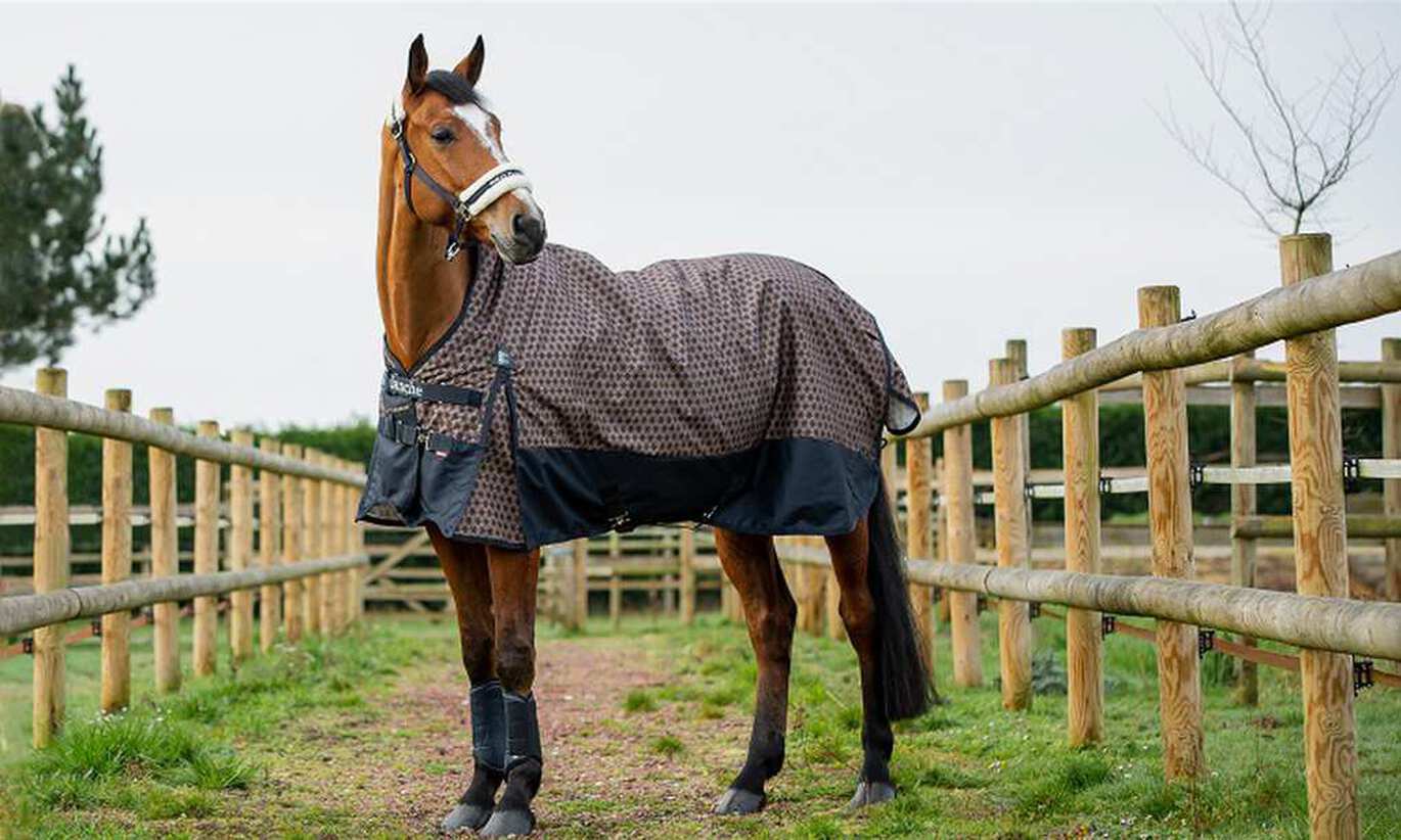 När behöver hästen ett täcke och varför?