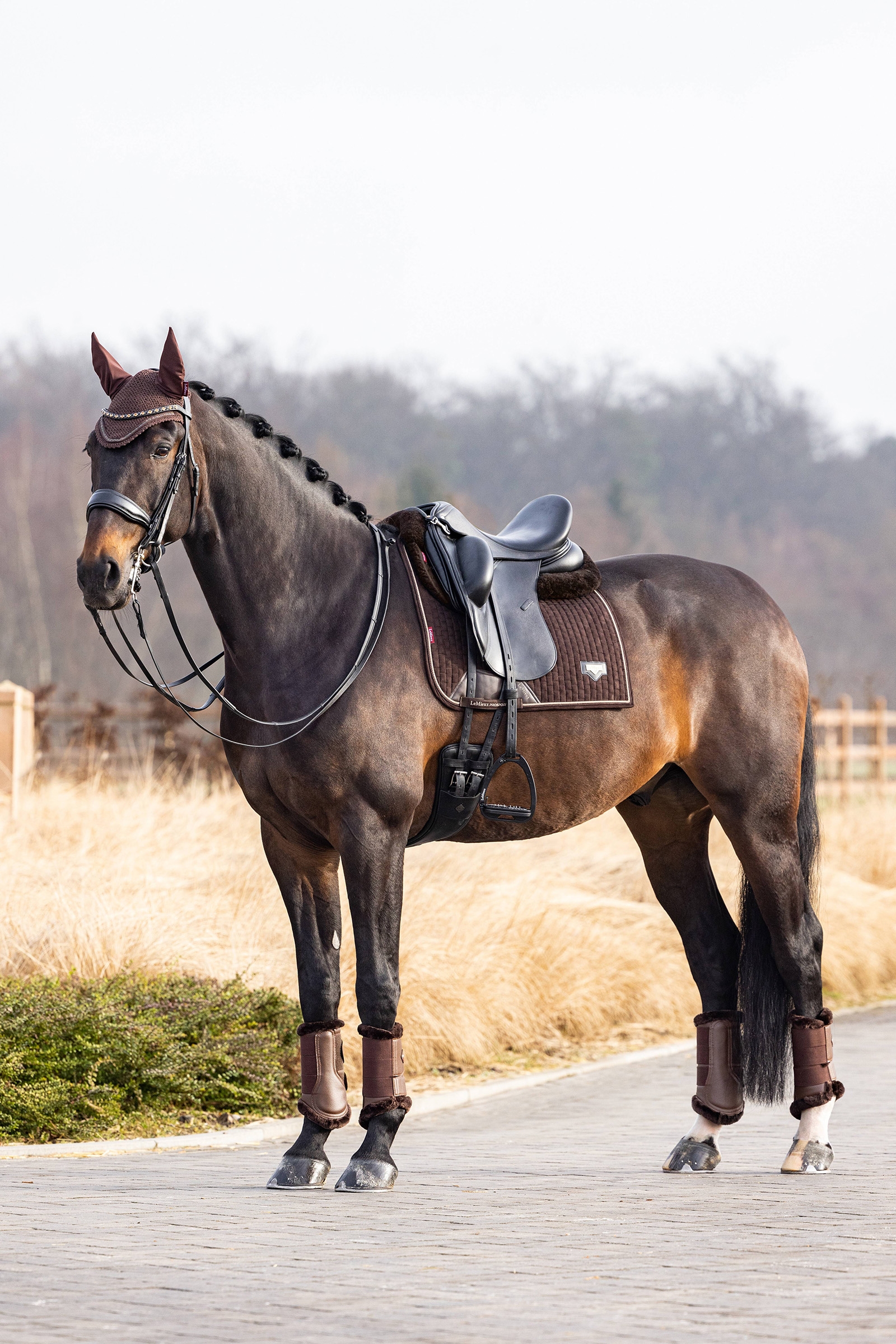 LeMieux Puissance dressyrschabrak i mockaimitation