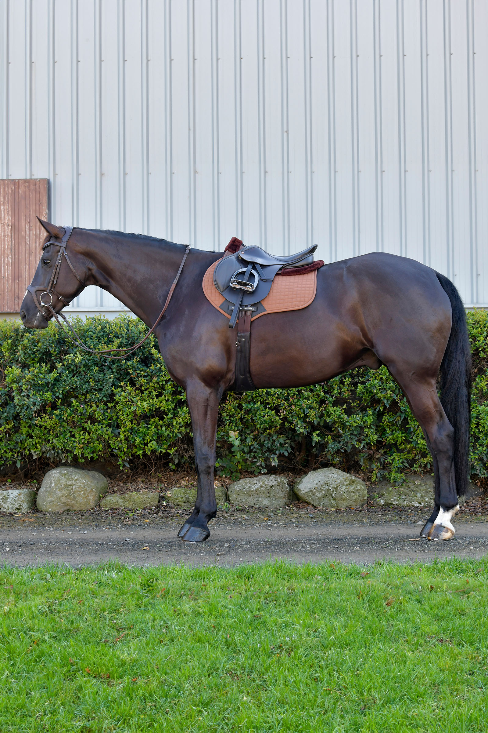 Weatherbeeta Prime Comfy Fleece hoppschabrak