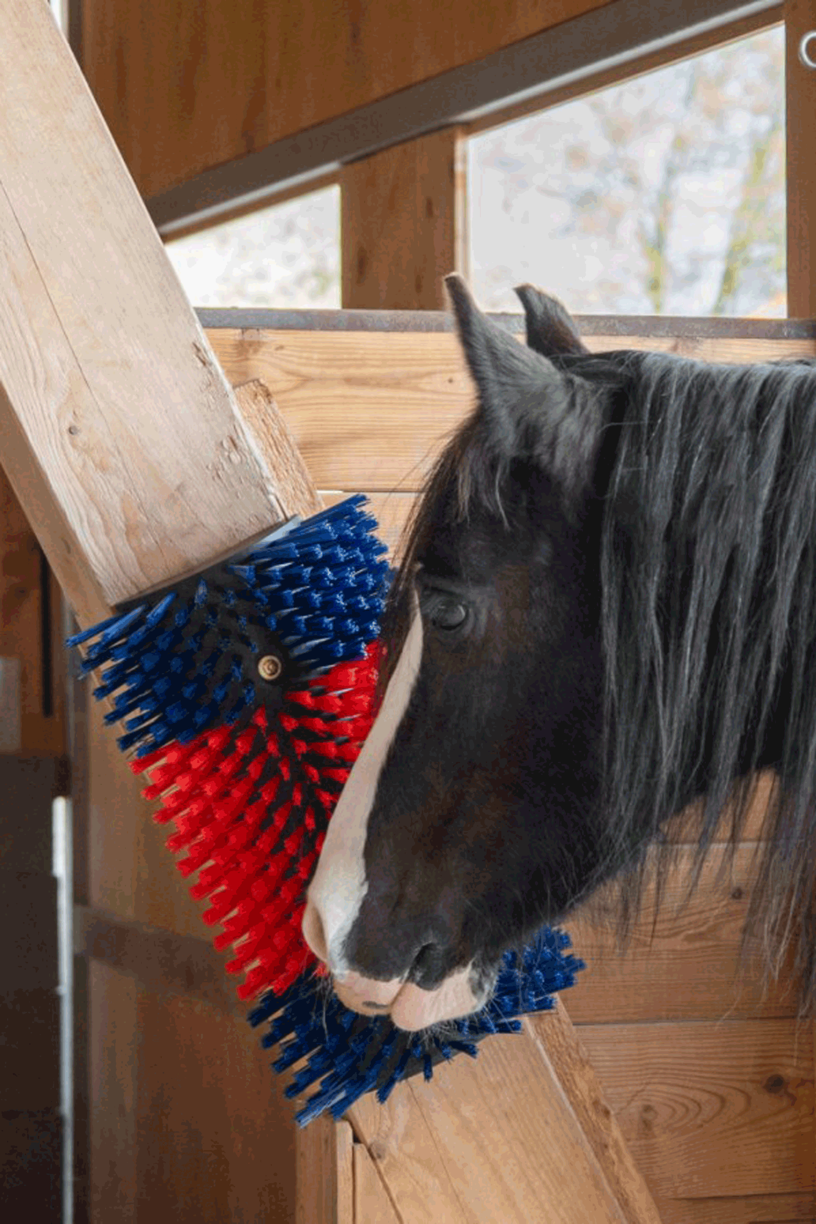 Kerbl XL kliborst, rund