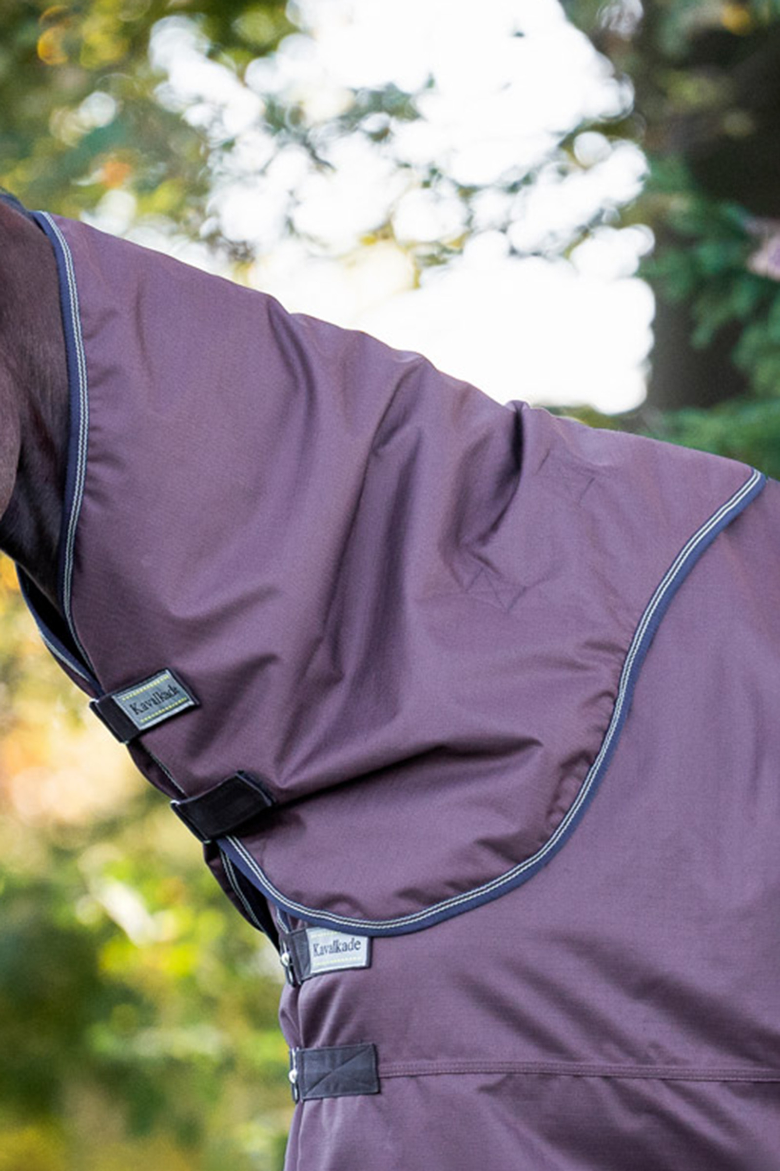 Brown Kavalkade halstäcke för Montreal Turnout täcke, 100g