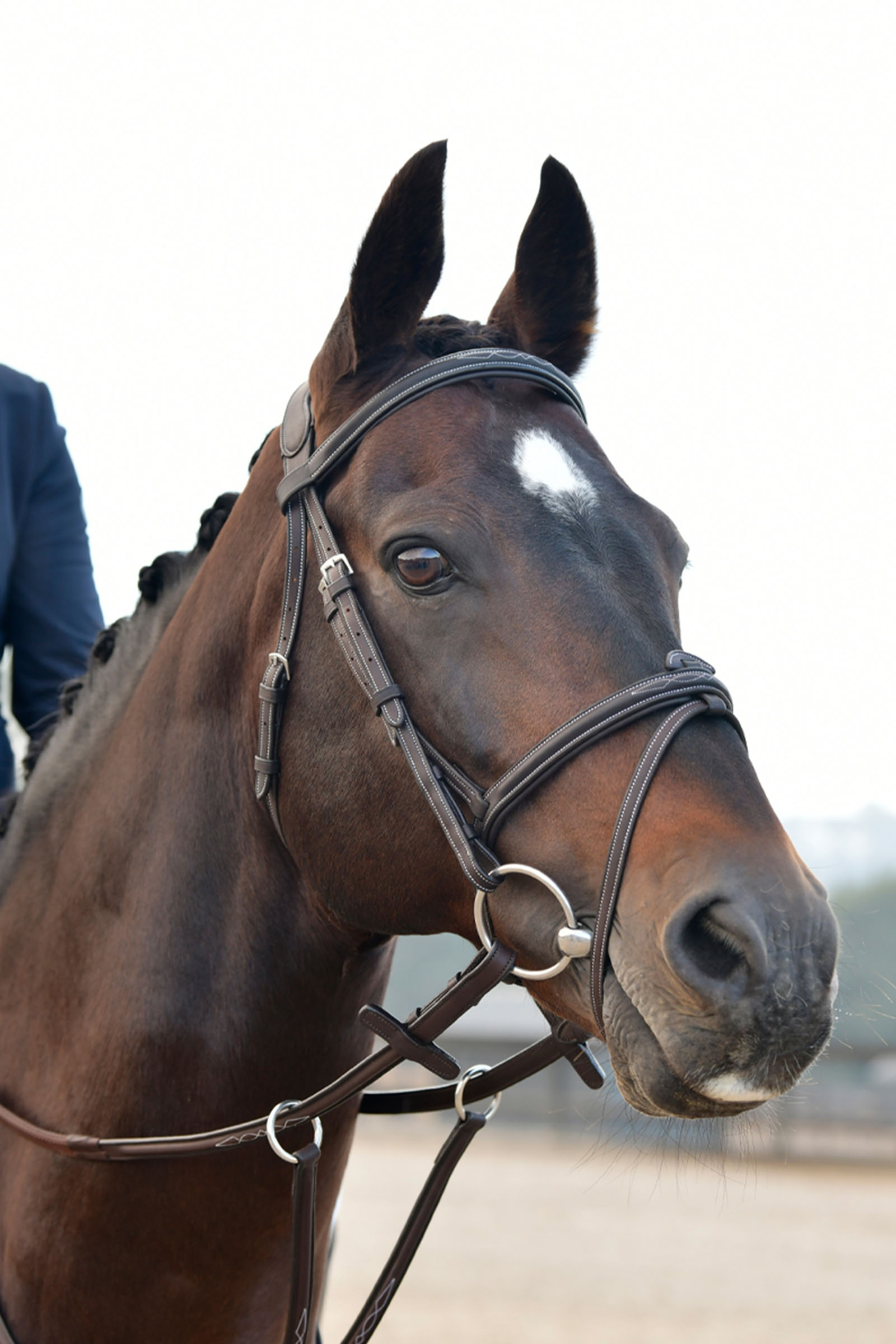 Collegiate Comfitec Opulux Fancy Stitch vadderat hannoveranskt tr&auml;ns