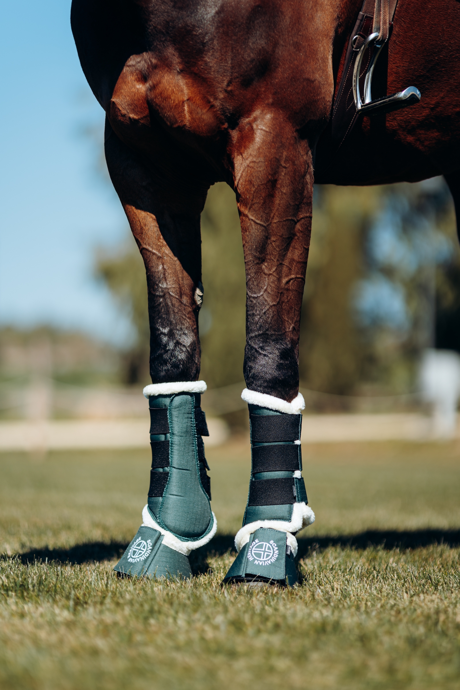 Horze Oslo boots f&ouml;r h&auml;st med fuskp&auml;ls