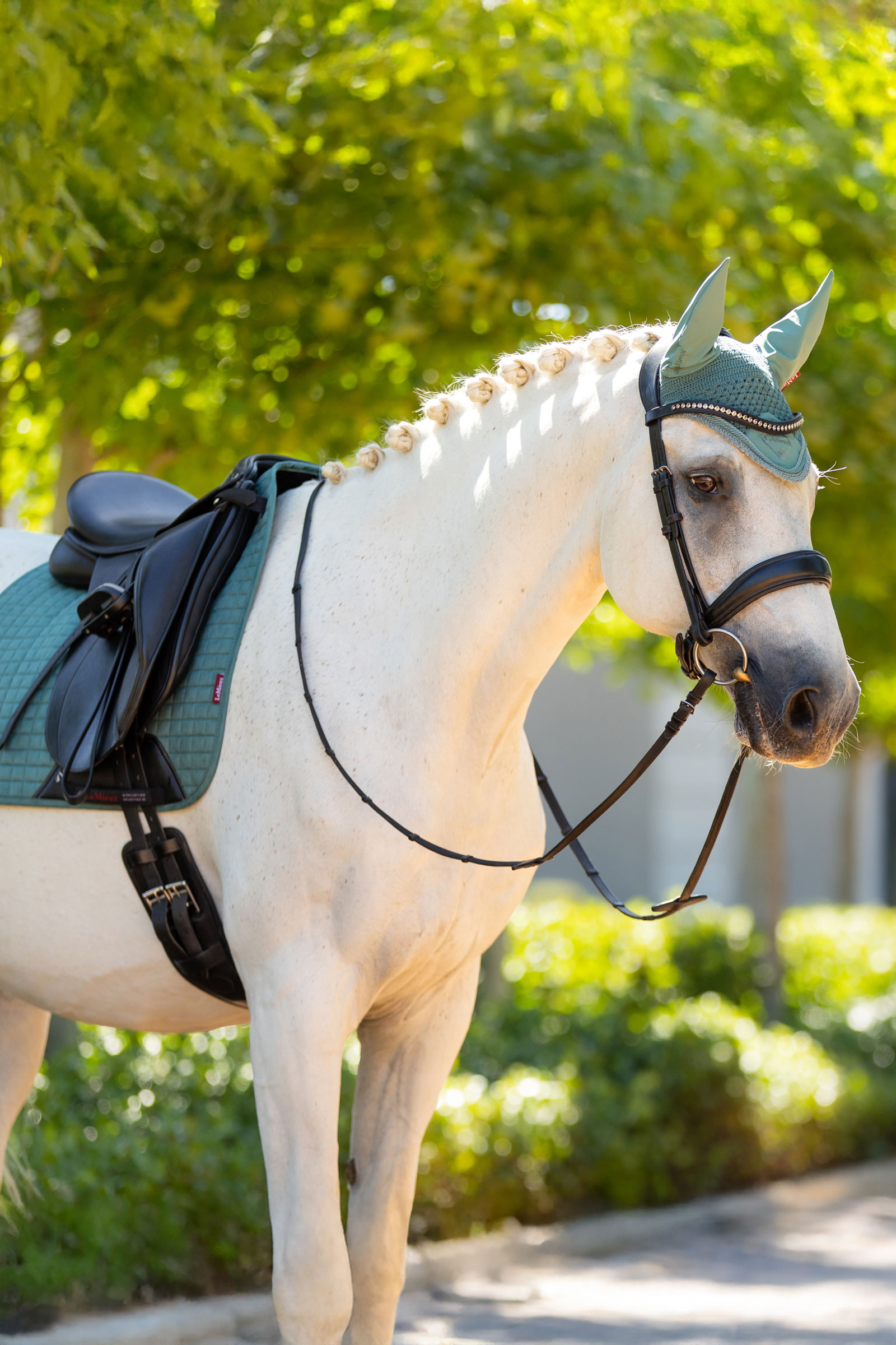 LeMieux Suede dressyrschabrak