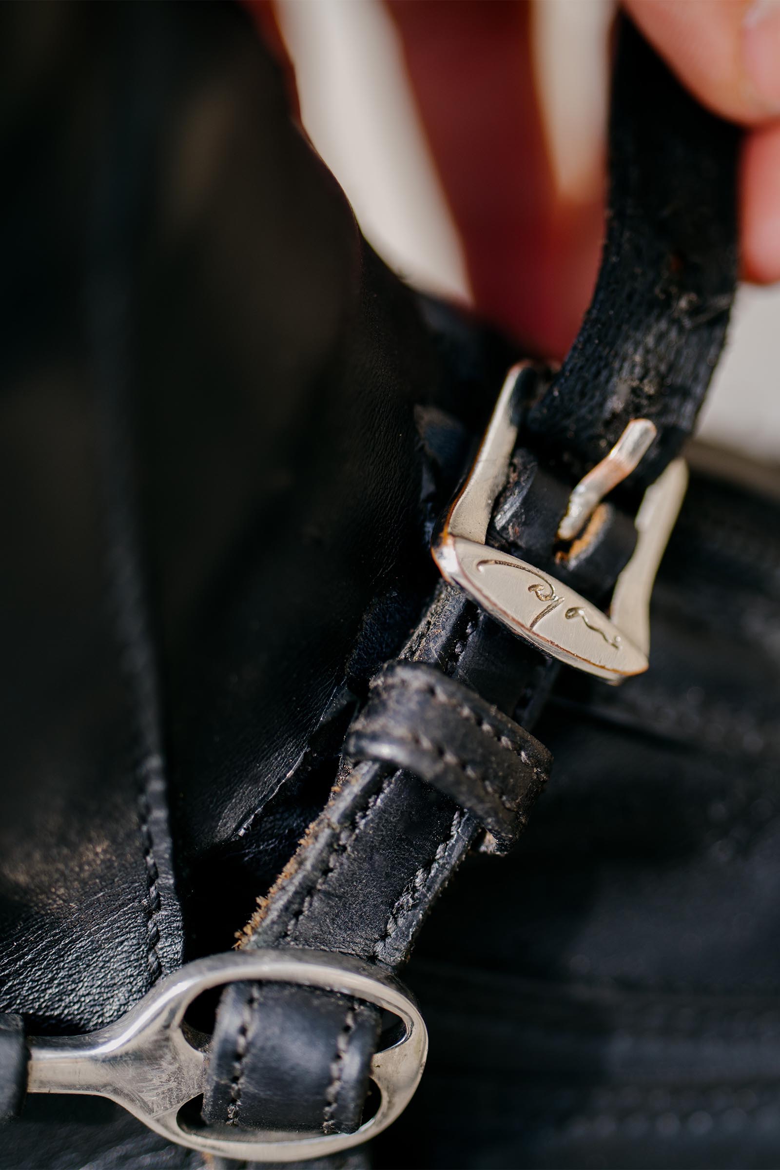 Dy'on sporrremmar i l&auml;der