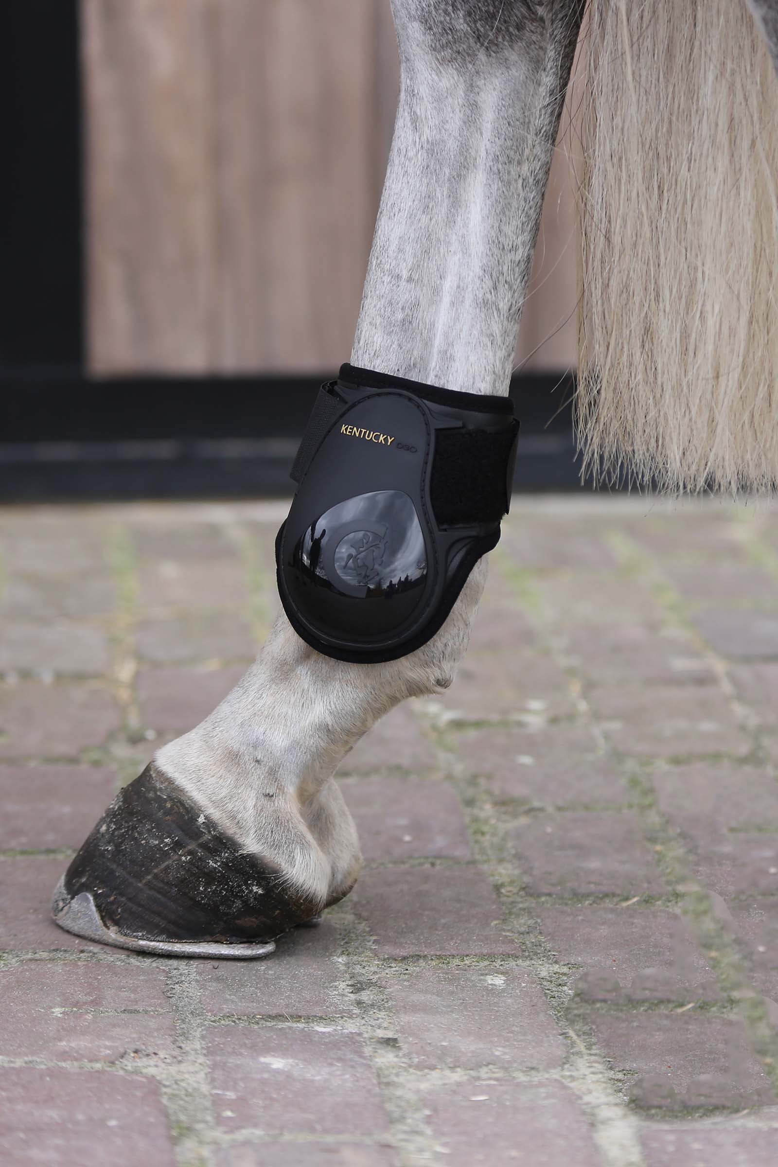 Kentucky Horsewear kotskydd för unghästar