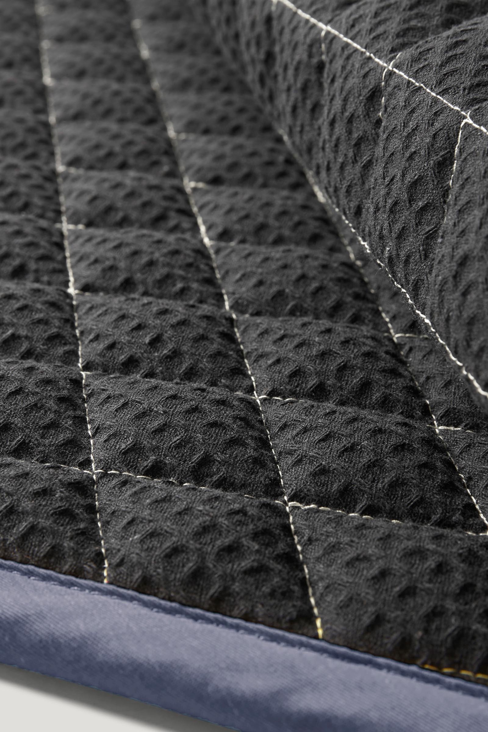 Tommy Hilfiger Equestrian Stanford dressyrschabrak