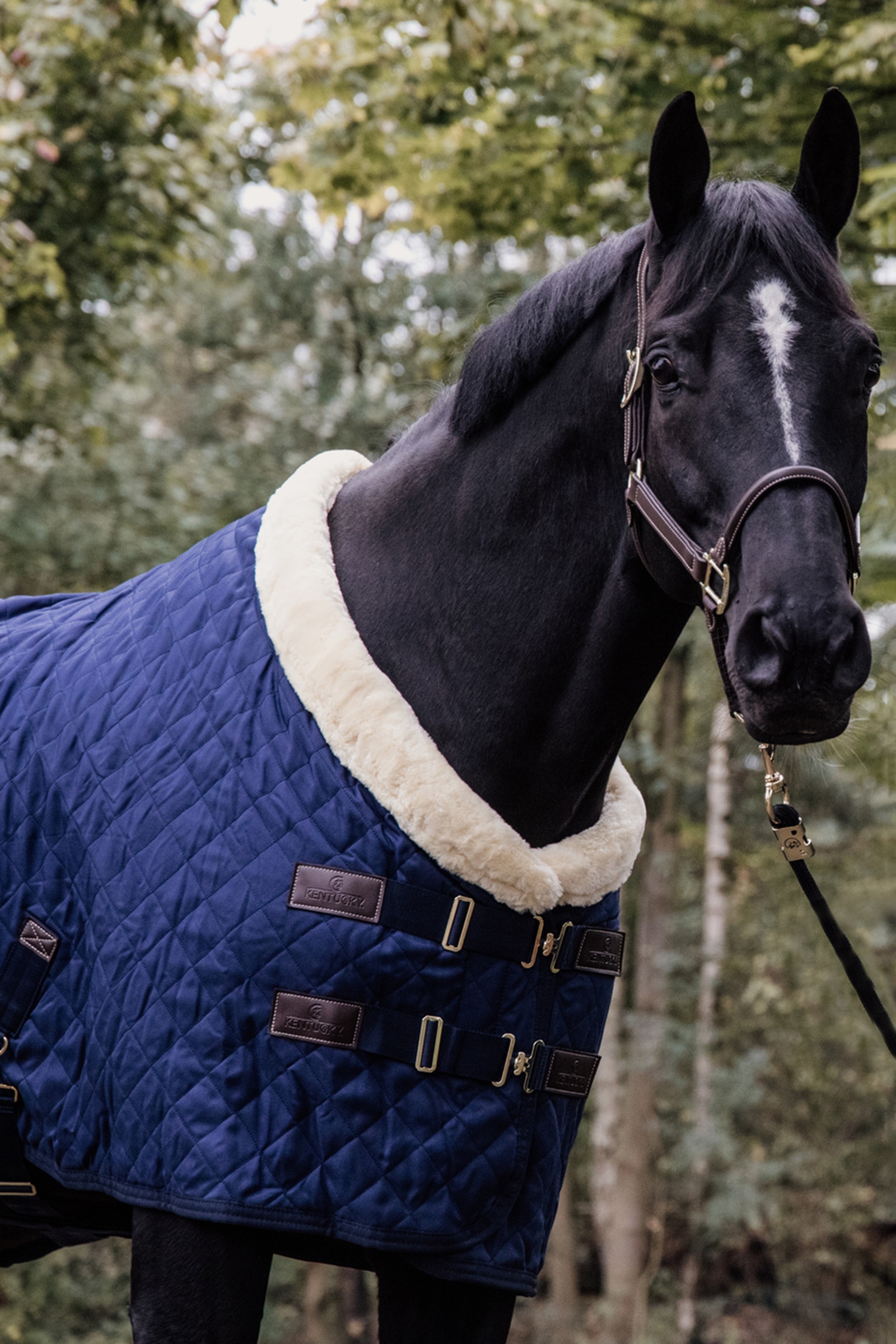 Kentucky Horsewear tävlingstäcke, 160 g
