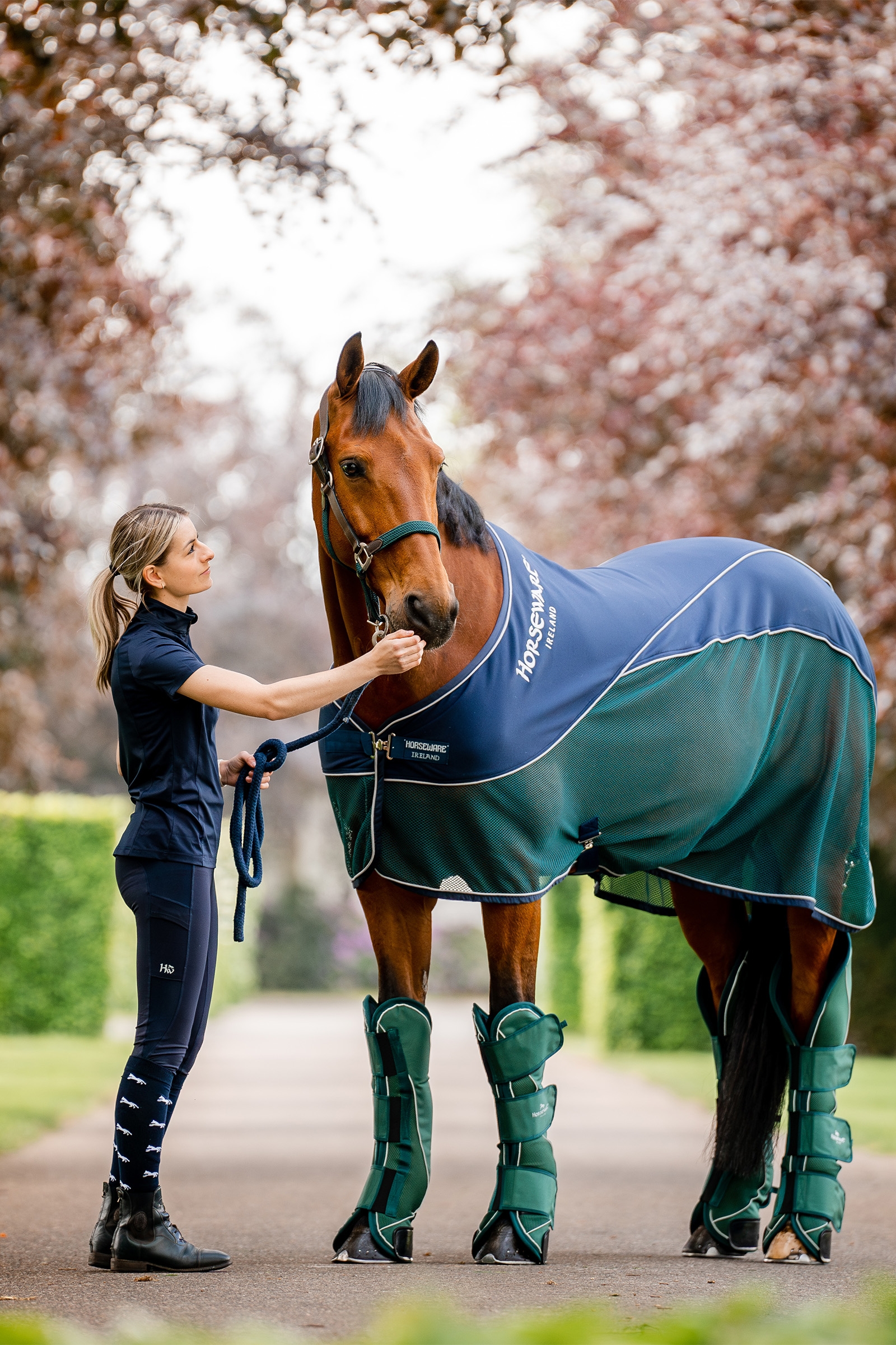 Horseware Signature Transport Benlindor