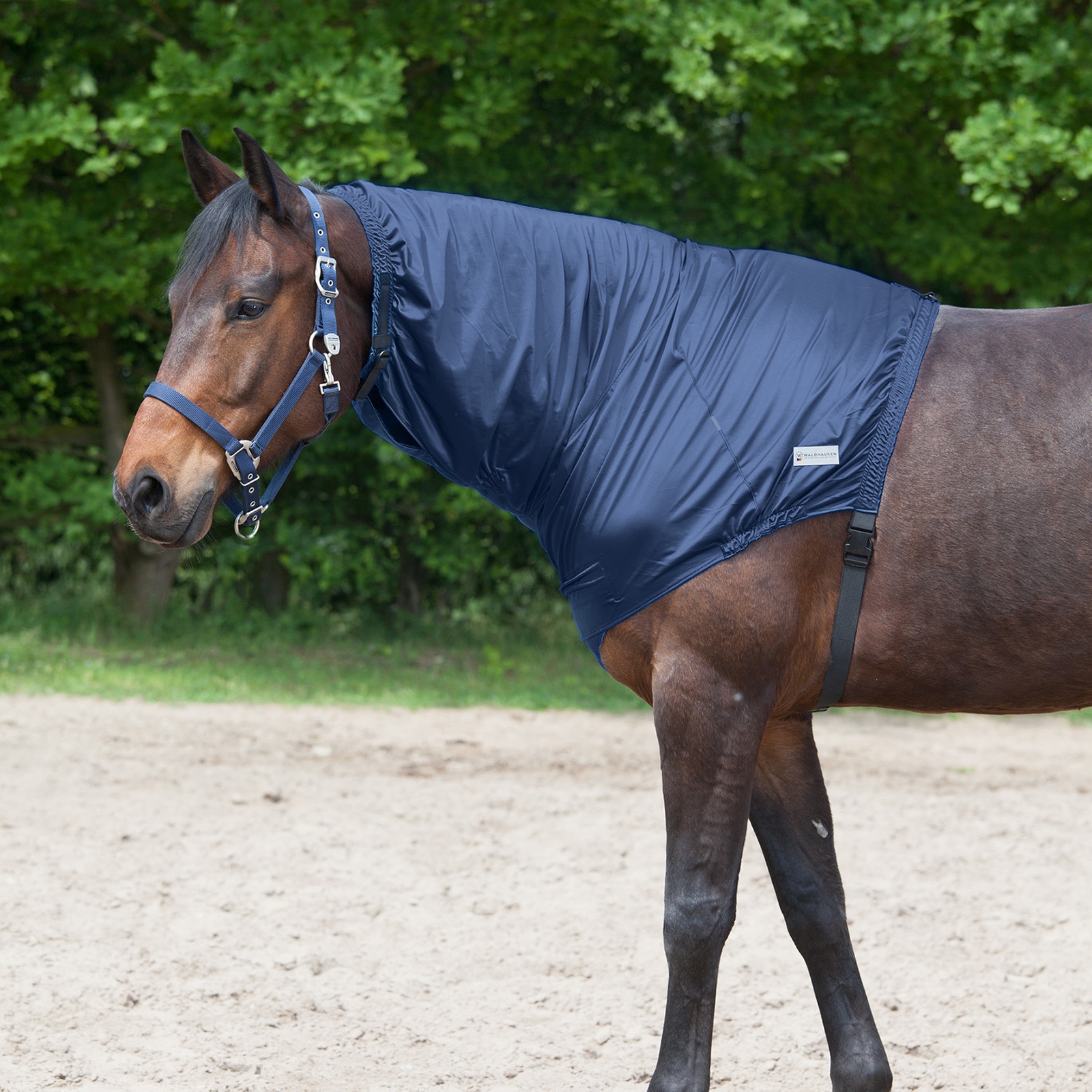 Waldhausen eksem halsdel