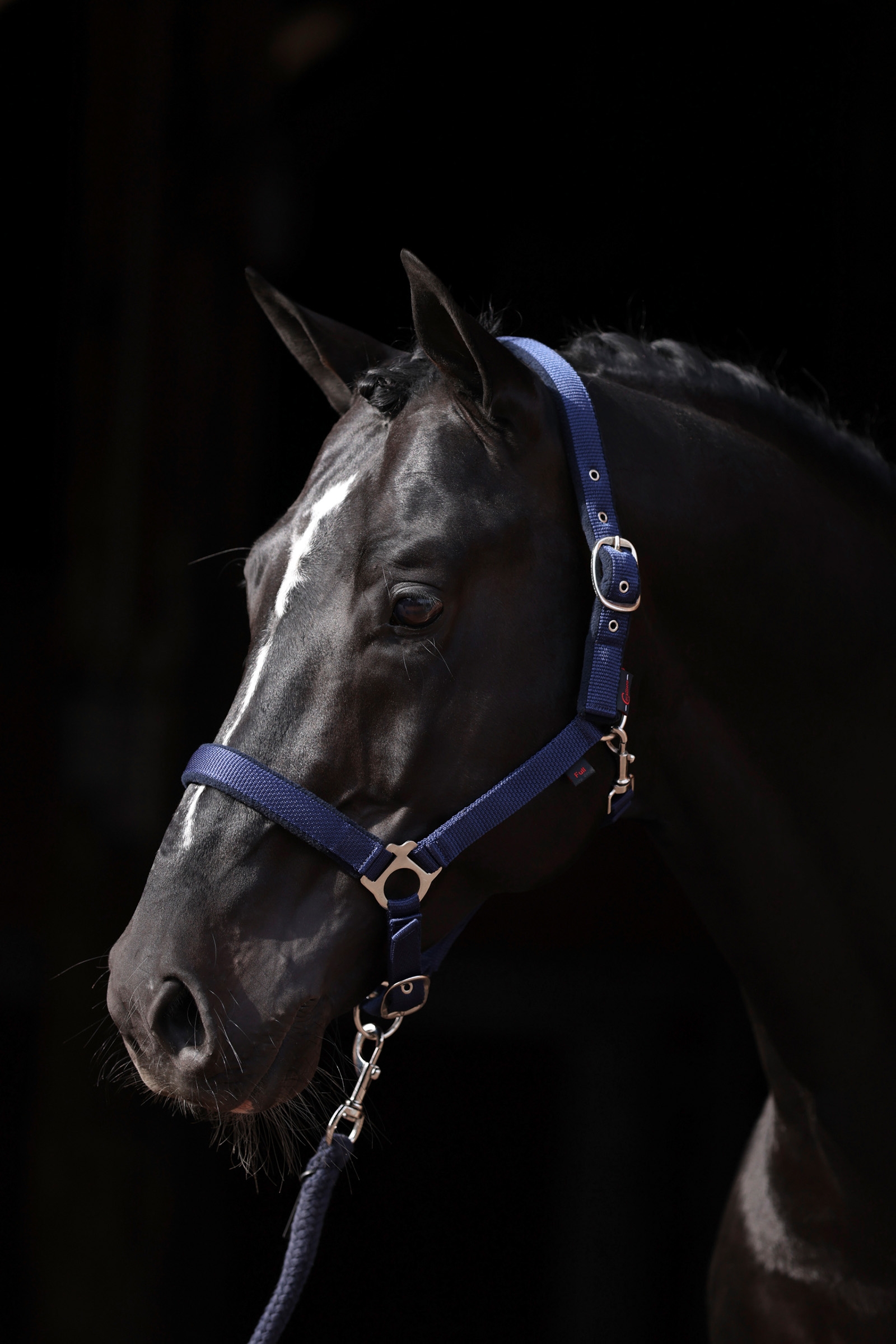 DB/AB Covalliero Dexter Grimma med fleecefoder