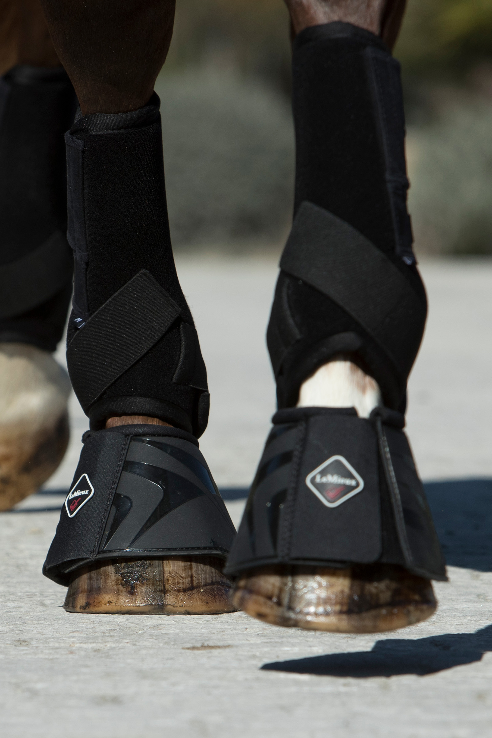 LeMieux Ultra Support Boots till hästar