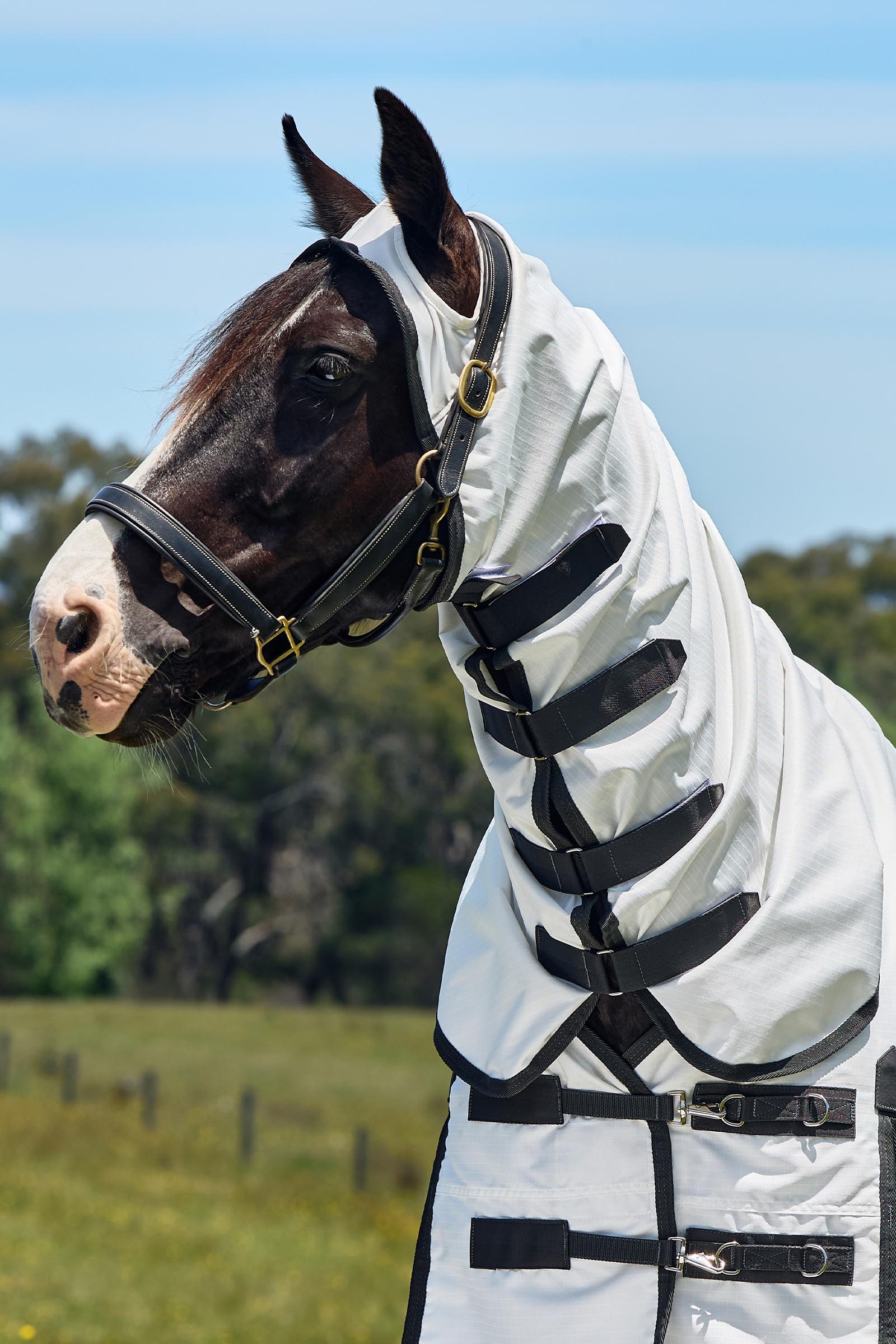 Weatherbeeta ComFiTec Sweet Itch Shield Flugt&auml;cke kombi med fast hals, 0 g  