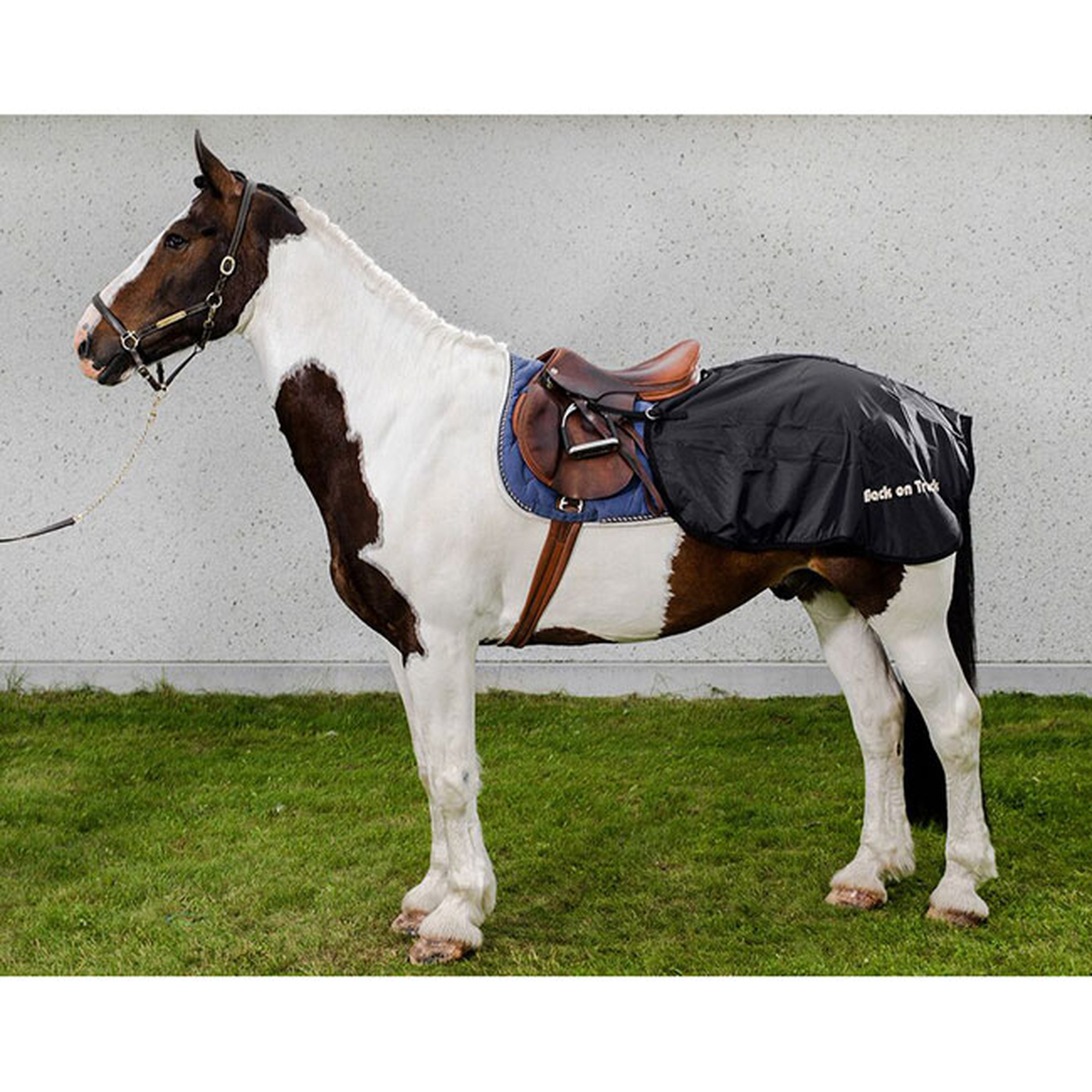 Back on Track ländtäcke