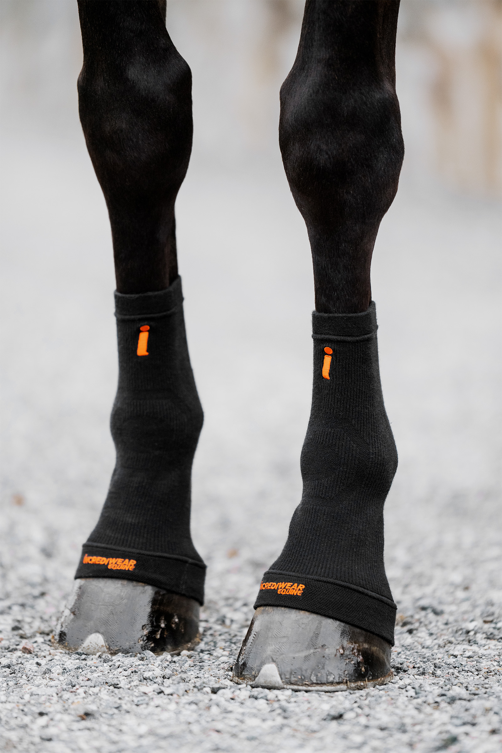 Black Incrediwear Circulation Hoof Socks hovstrumpor