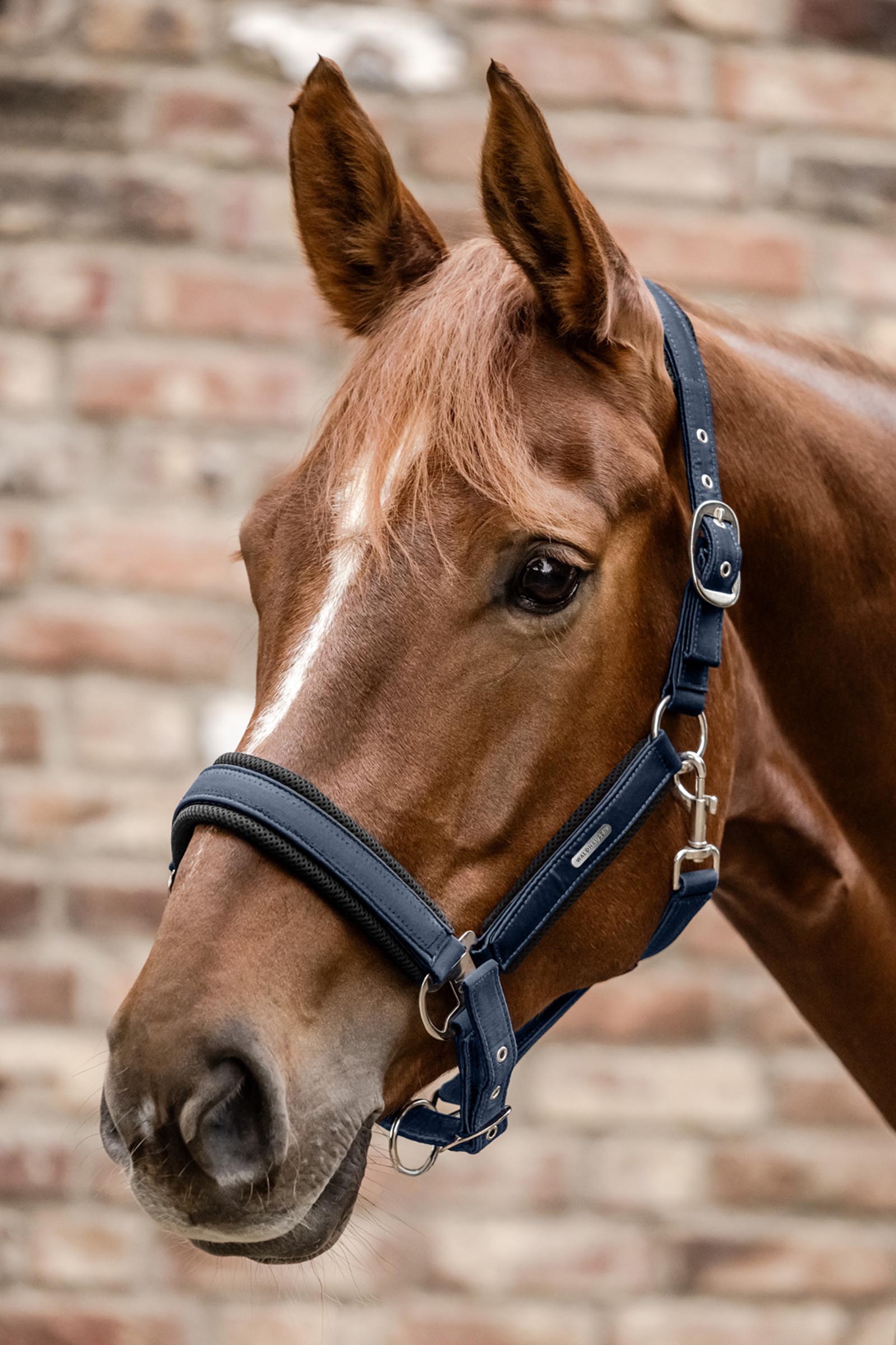 Waldhausen Breath Mesh Grimma