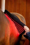 Horseware LED-rött ljusterapi Pad