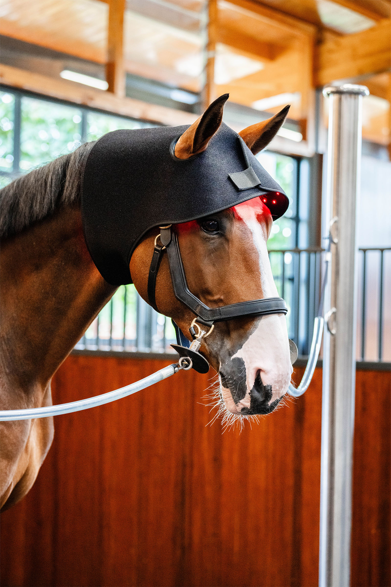 Horseware LED-r&ouml;tt ljusterapi nackm&ouml;ssa