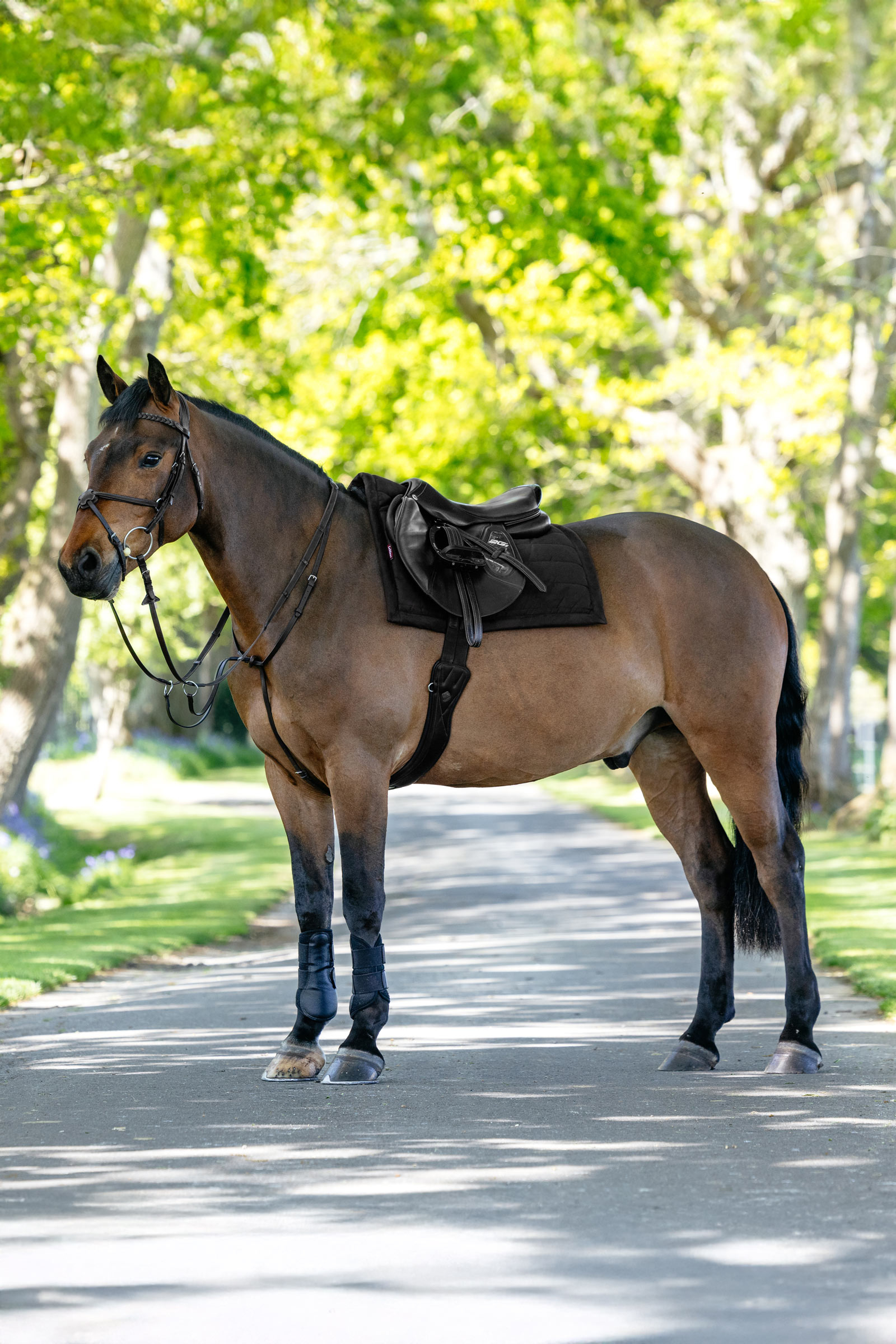 LeMieux Pillow vadderat allroundschabrak