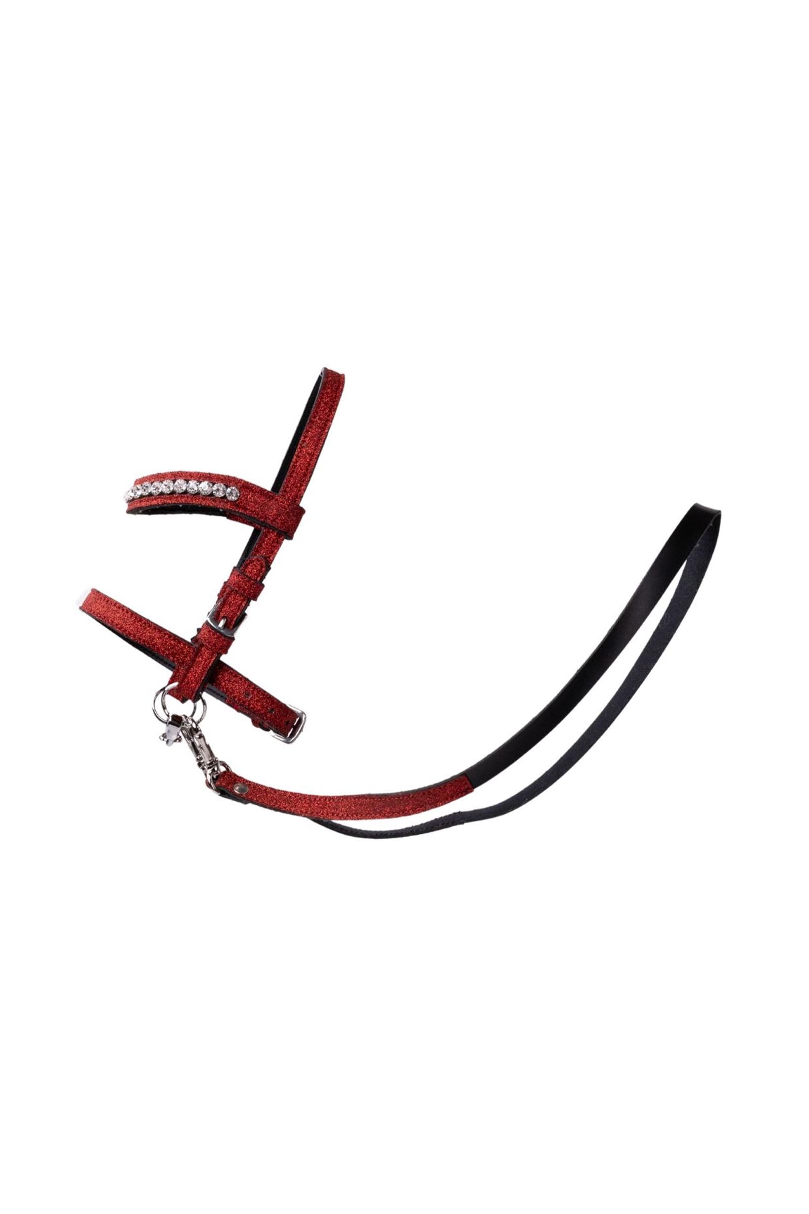 My Hobby Horse tr&auml;ns med glitter