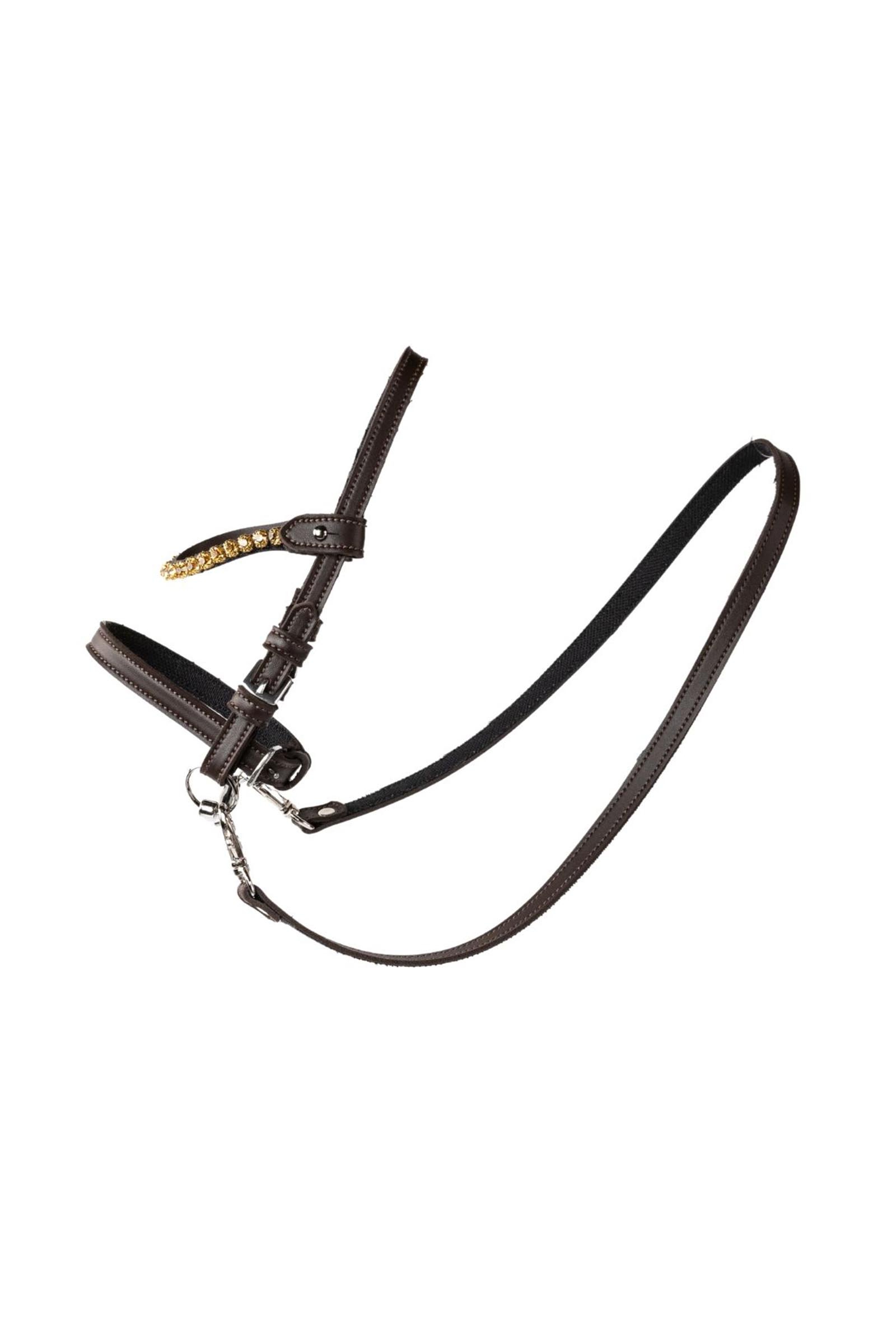 My Hobby Horse l&auml;dertr&auml;ns med stenar