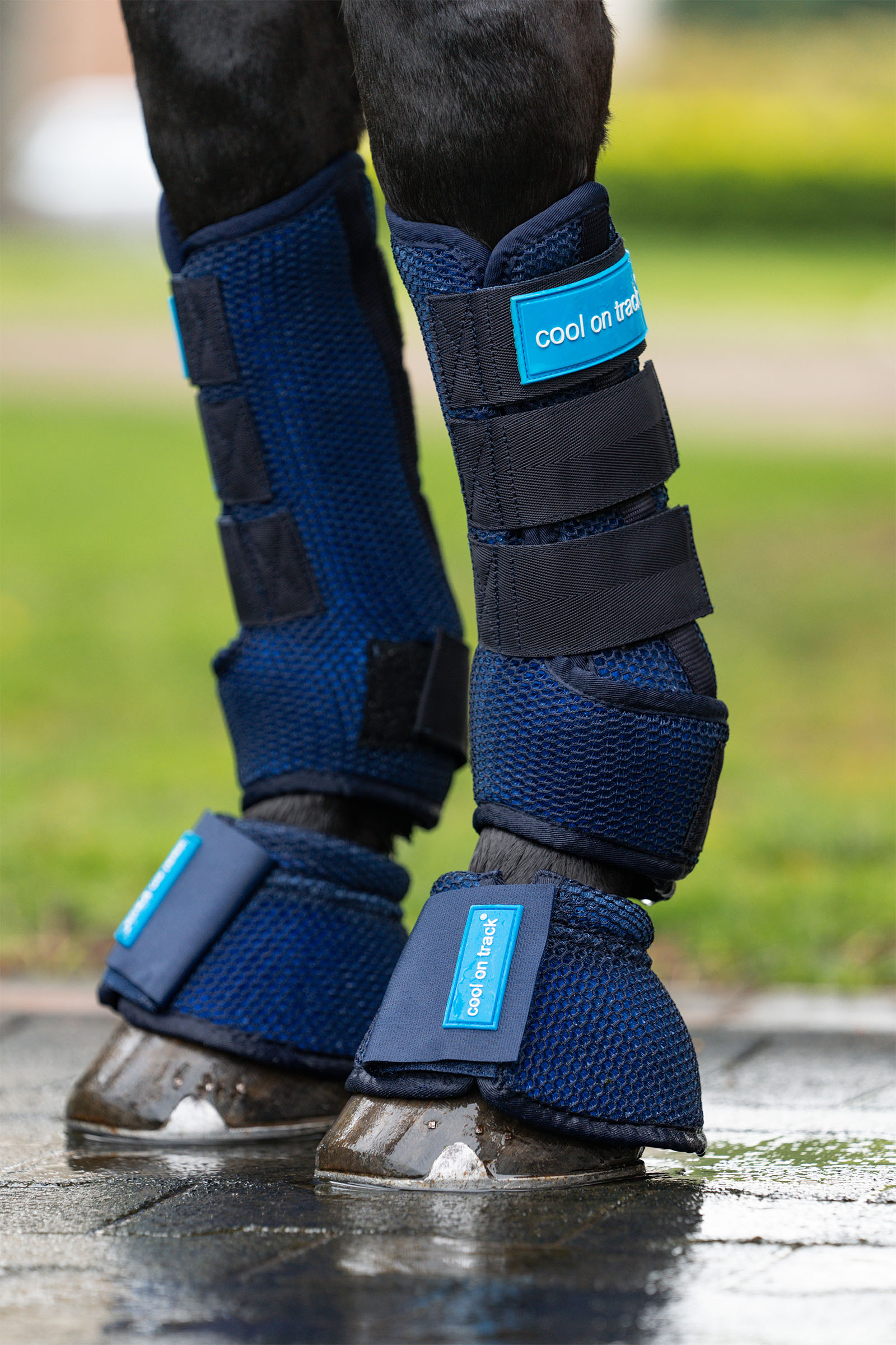 Back on Track Cool on Track boots till h&auml;star