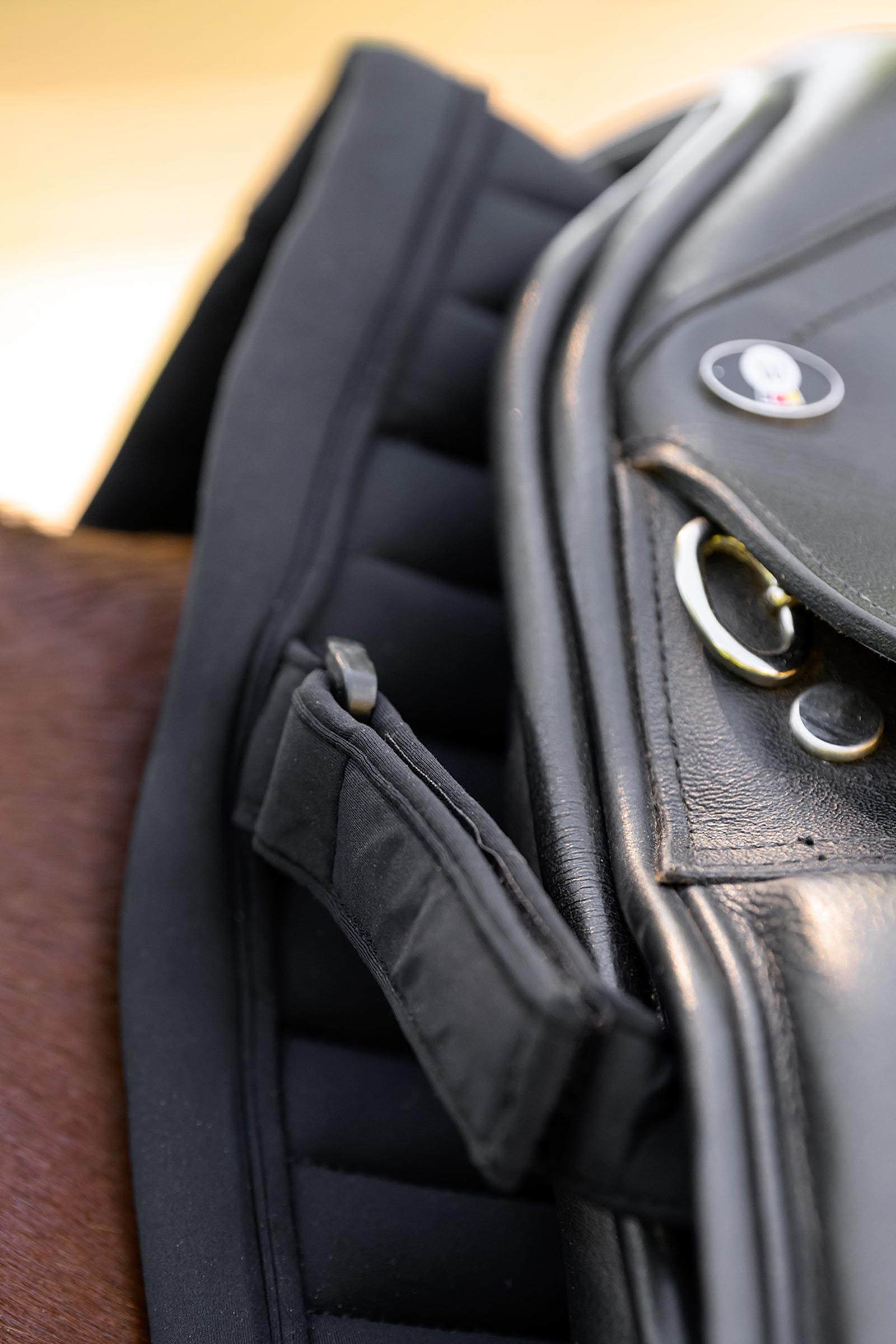 Waldhausen Trinidad dressyrschabrak