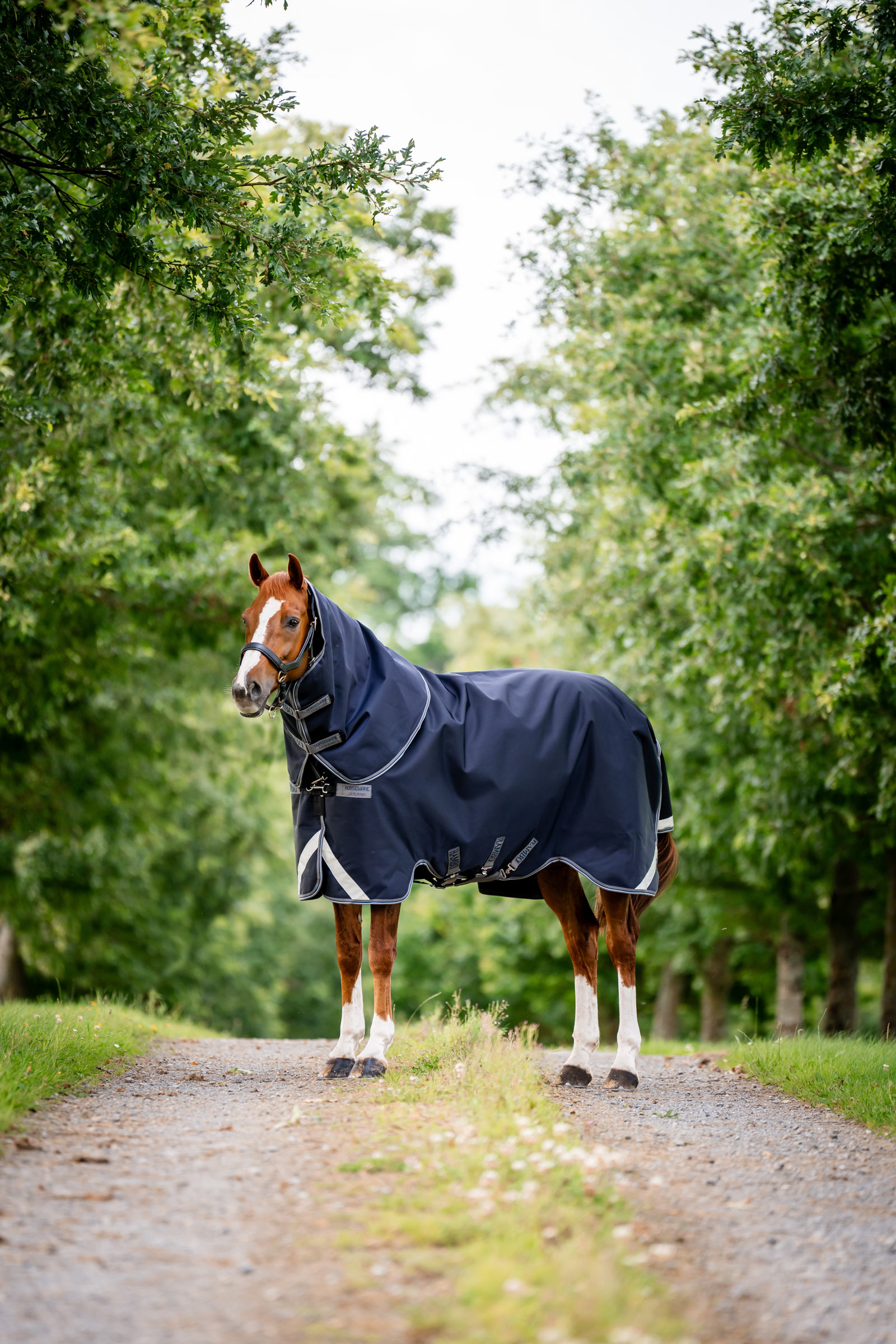 Horseware Rambo 1680D Plus Vario Layer utetäcke, 250 g