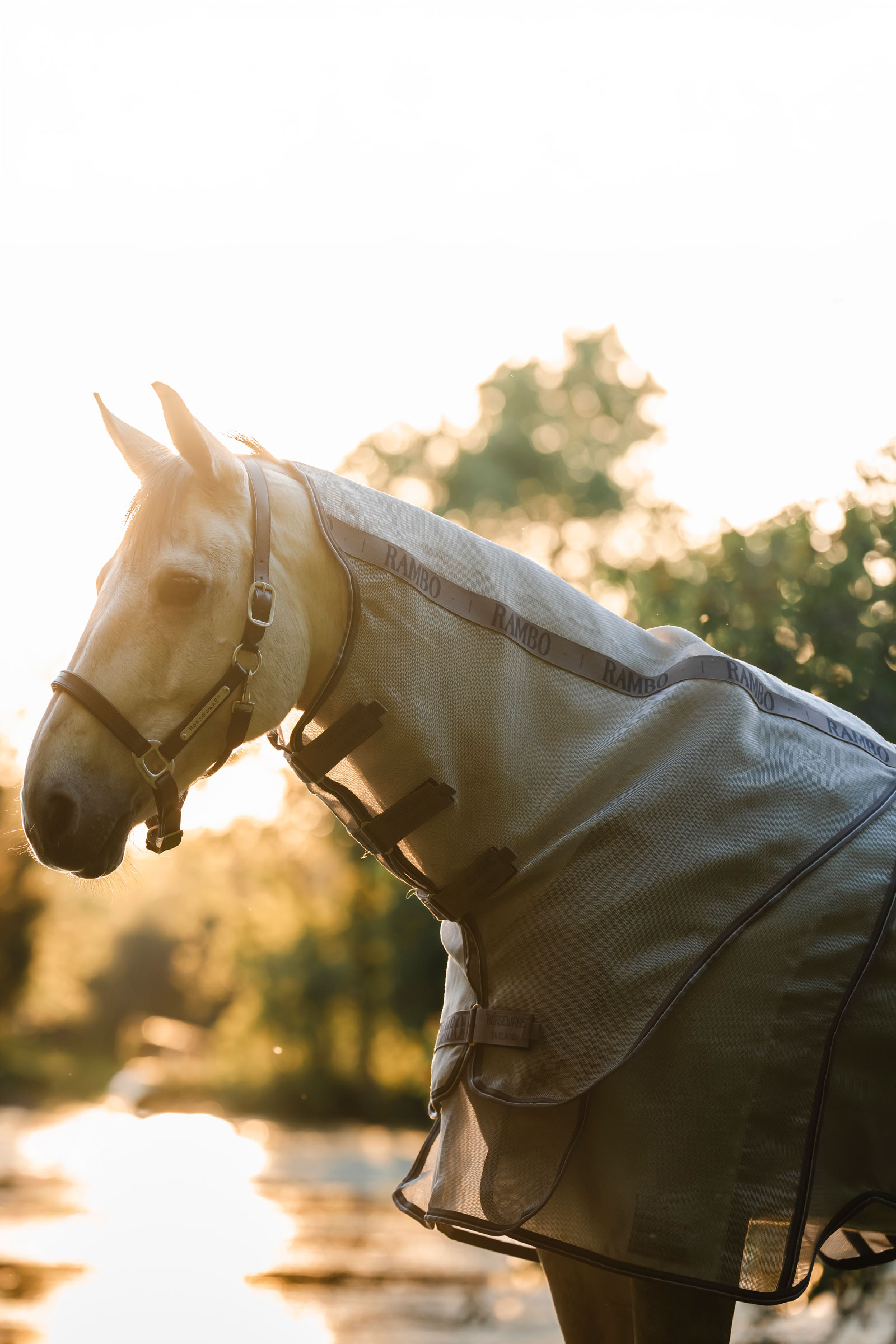 Horseware Rambo Optimo Protector Plus t&auml;cke