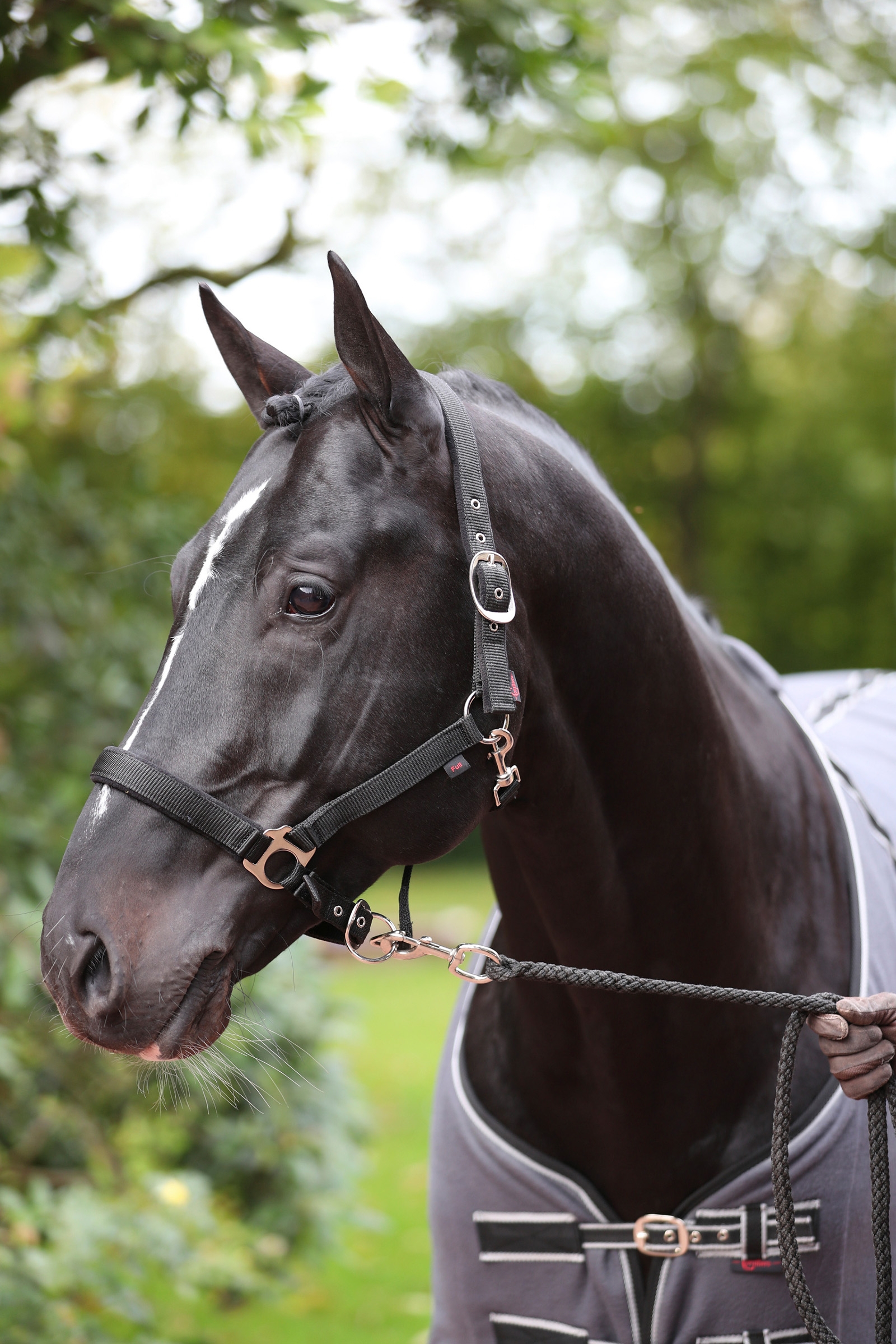 Covalliero Dexter Grimma med fleecefoder