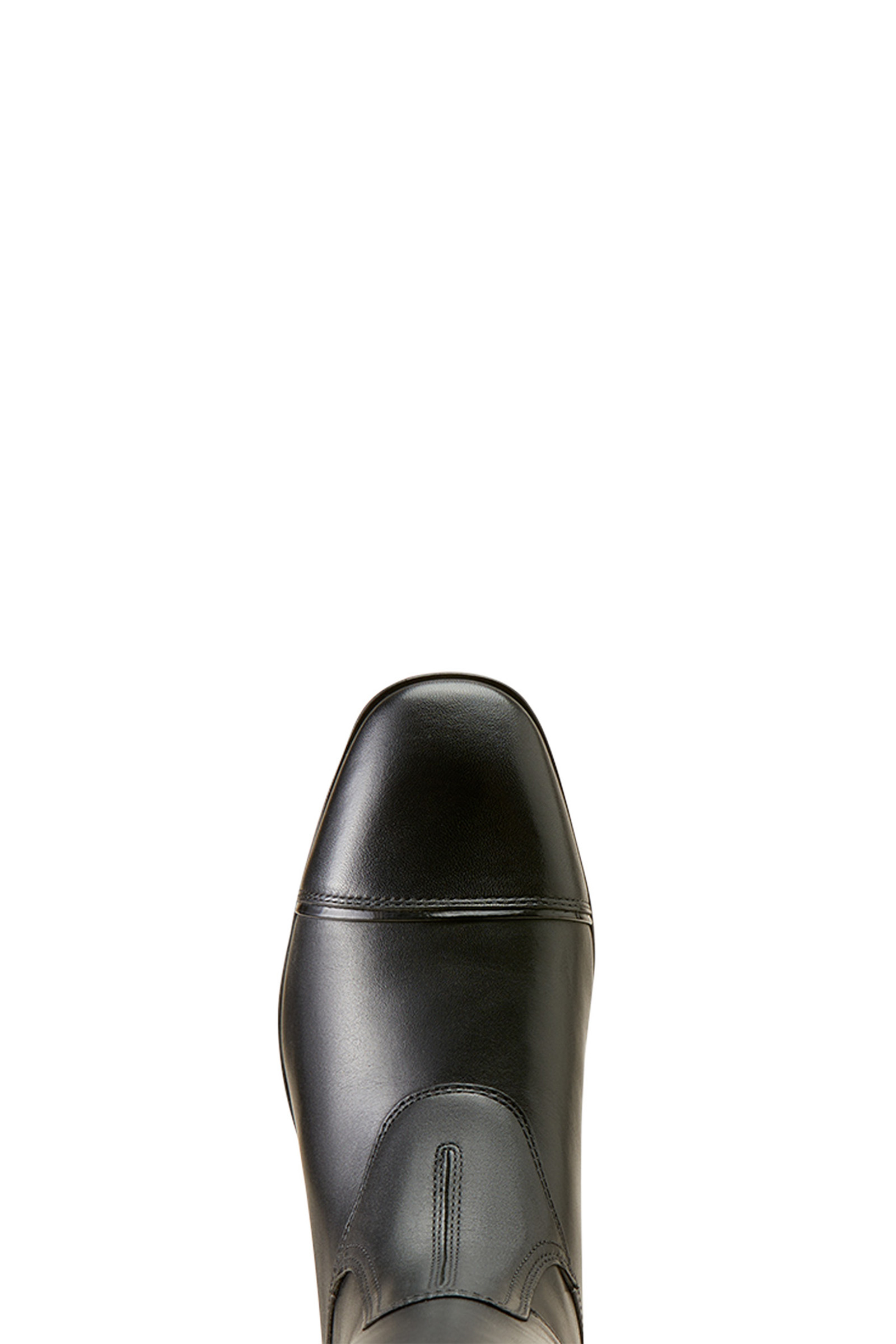 Ariat Kvinnors Palisade H&ouml;g Show Ridst&ouml;vlar