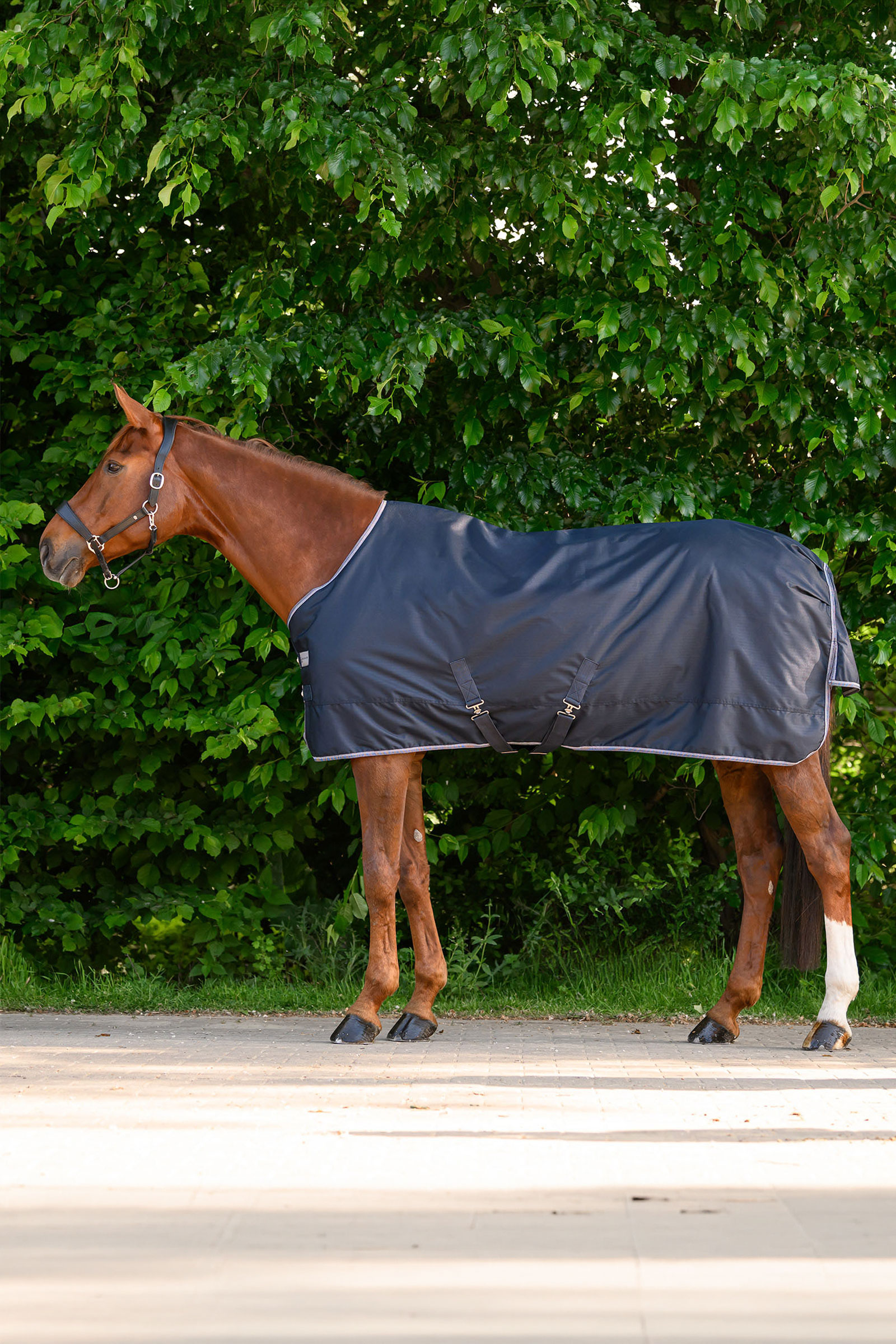 Waldhausen ECONOMIC utet&auml;cke, 200g