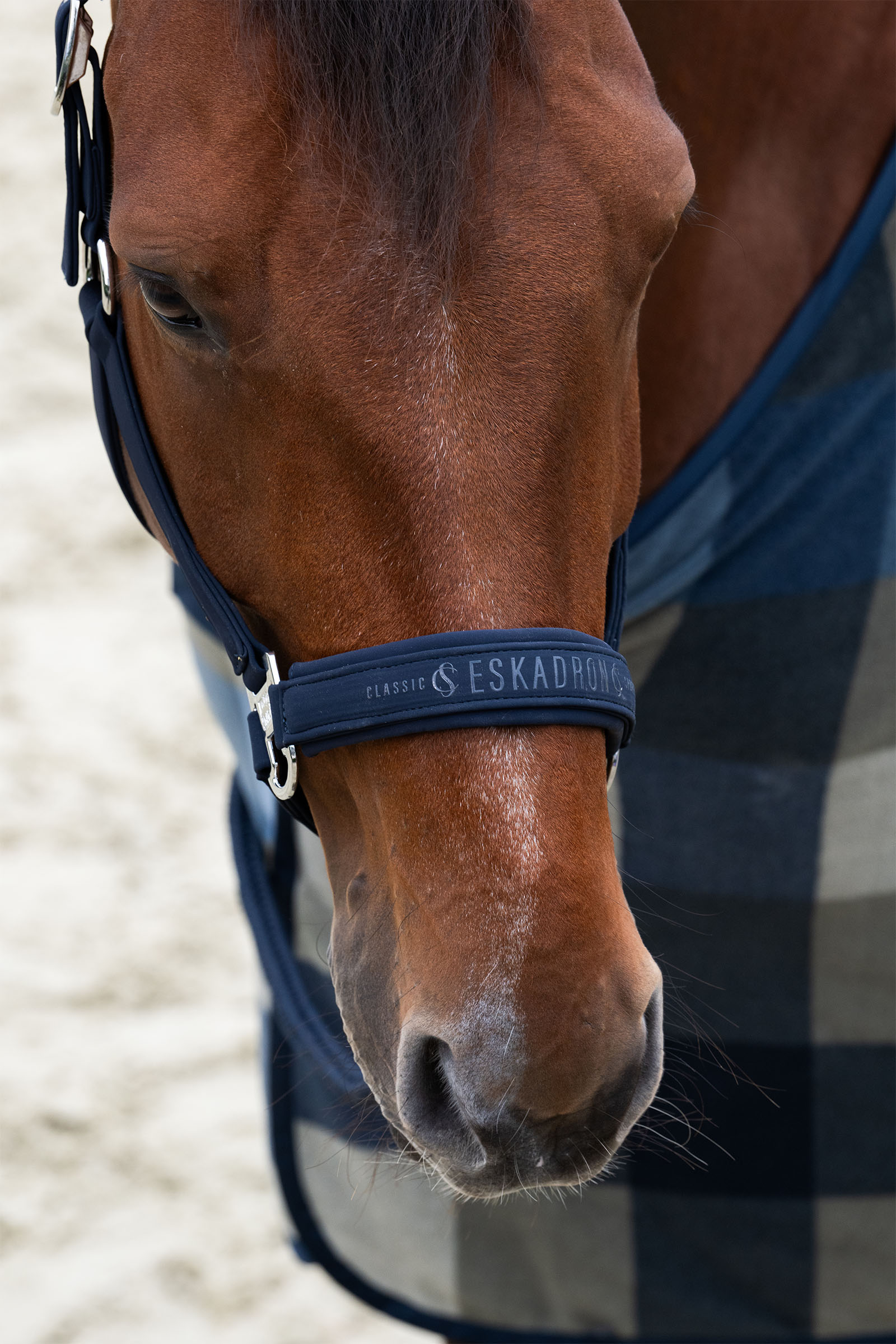 Eskadron Classic Sports SS25 Softshell Double Pin grimma