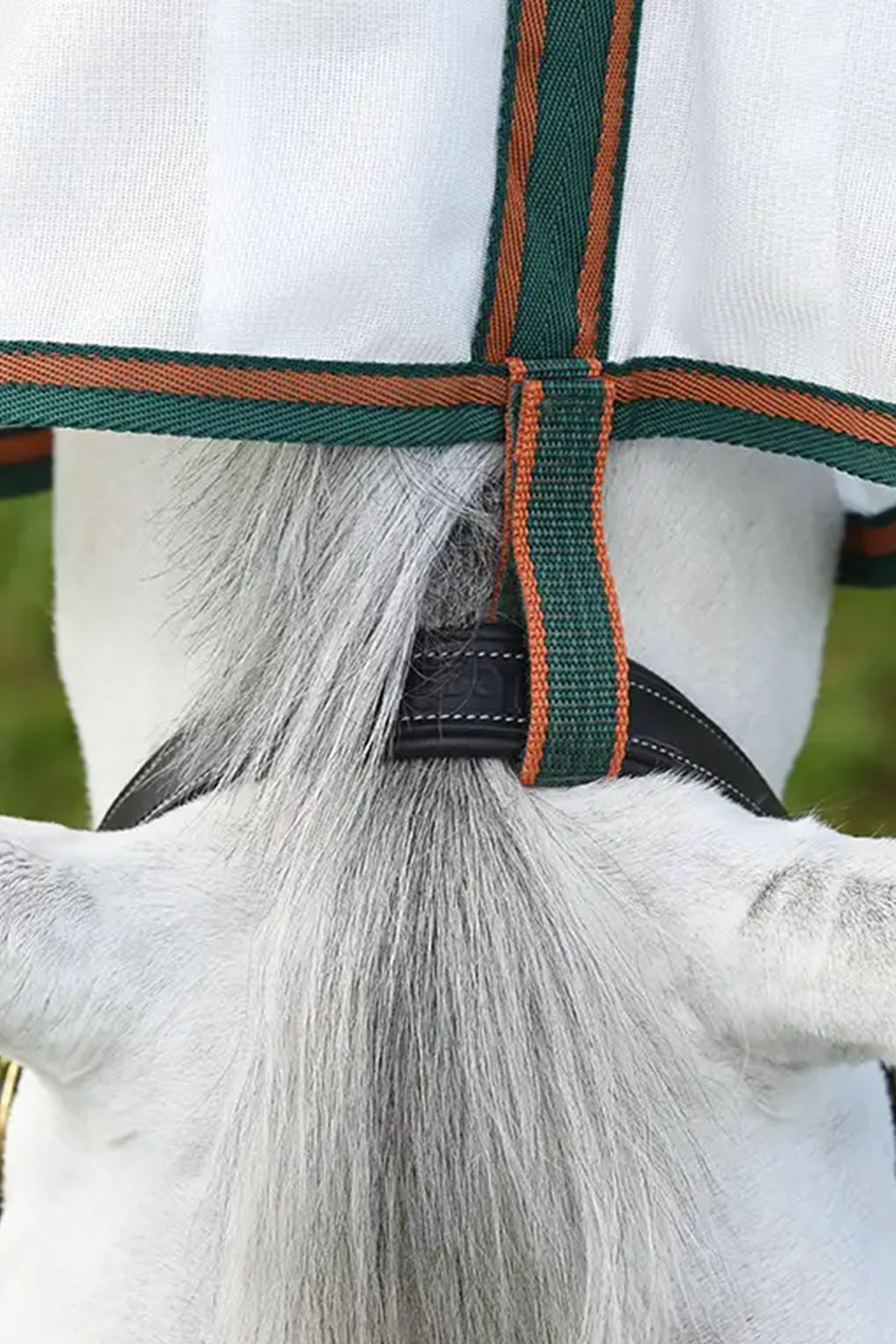 Weatherbeeta Comfitec Tyro n&auml;t&auml;ckescombo med hals