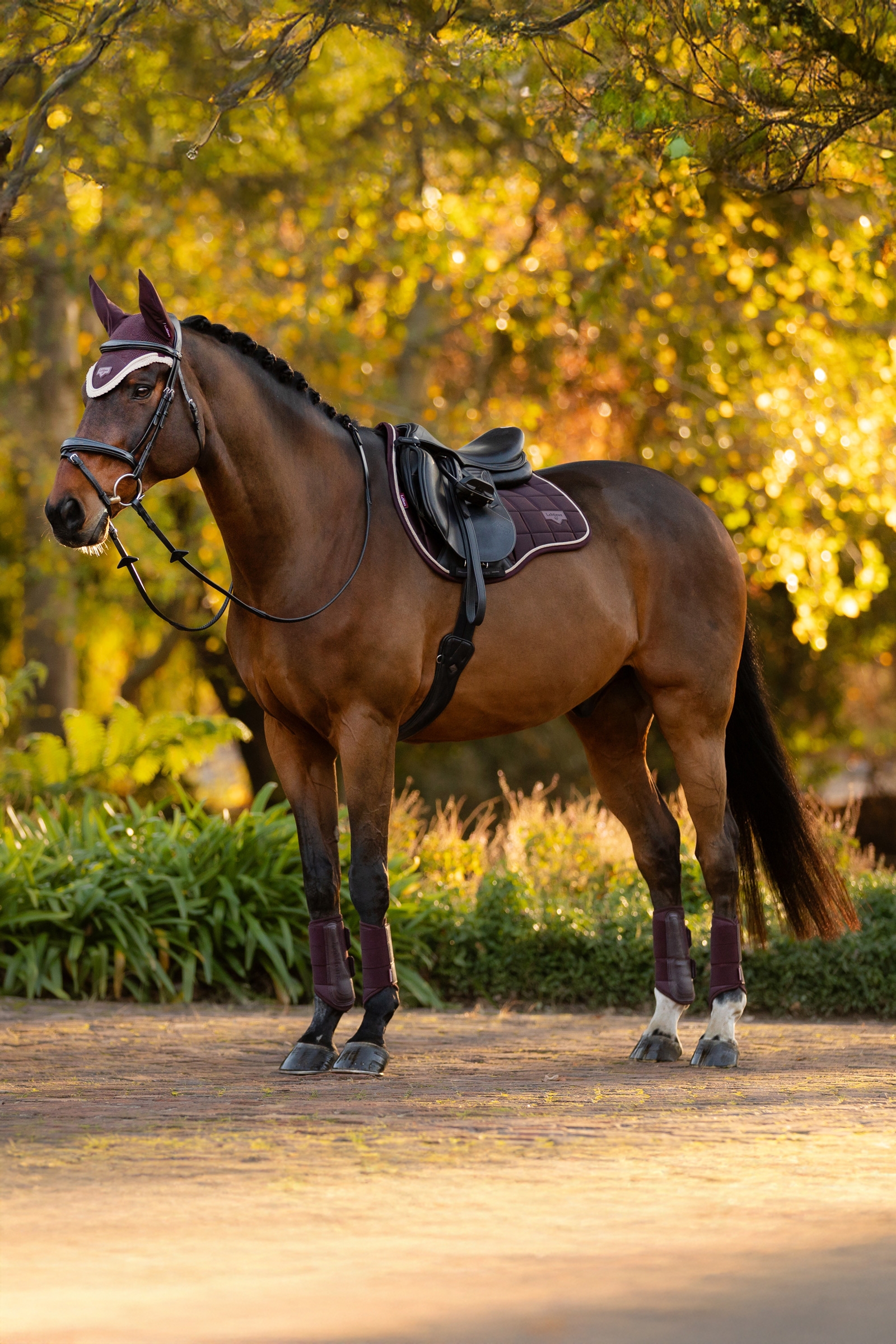 LeMieux Loire klassiskt fyrkantigt allround schabrak