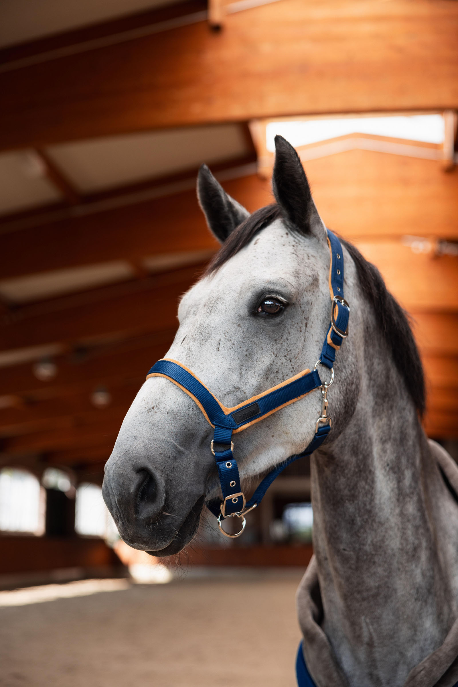 Horze Del&eacute;mont Grimma