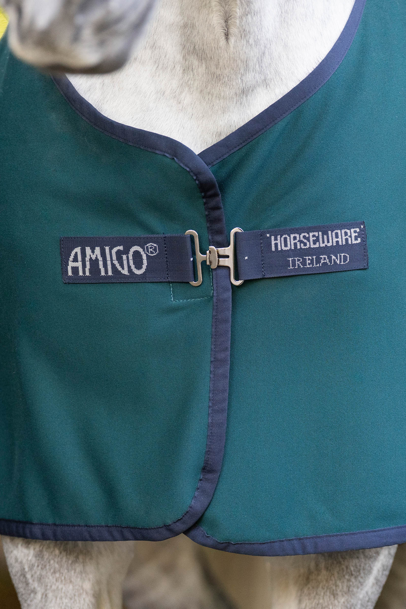 Horseware Amigo jersey svettäcke