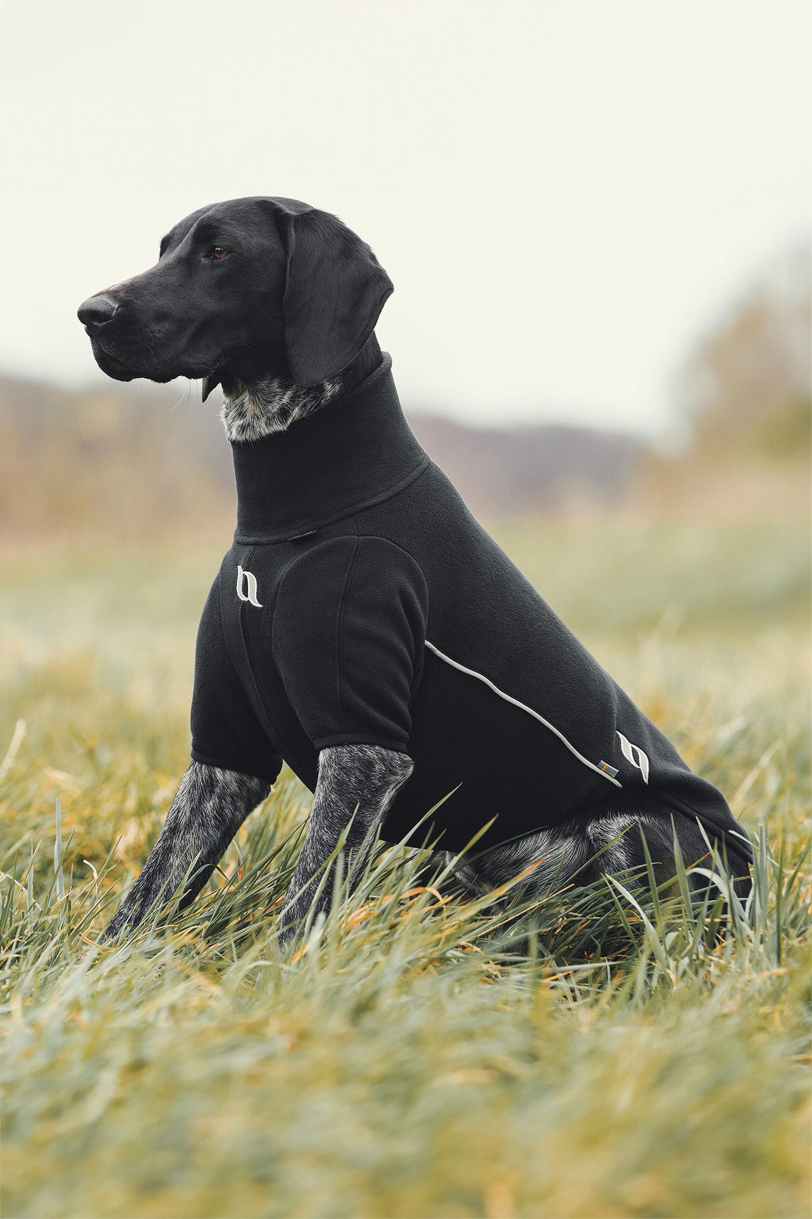 Back on Track Cassie Allväders Hundtröja, 65-70cm