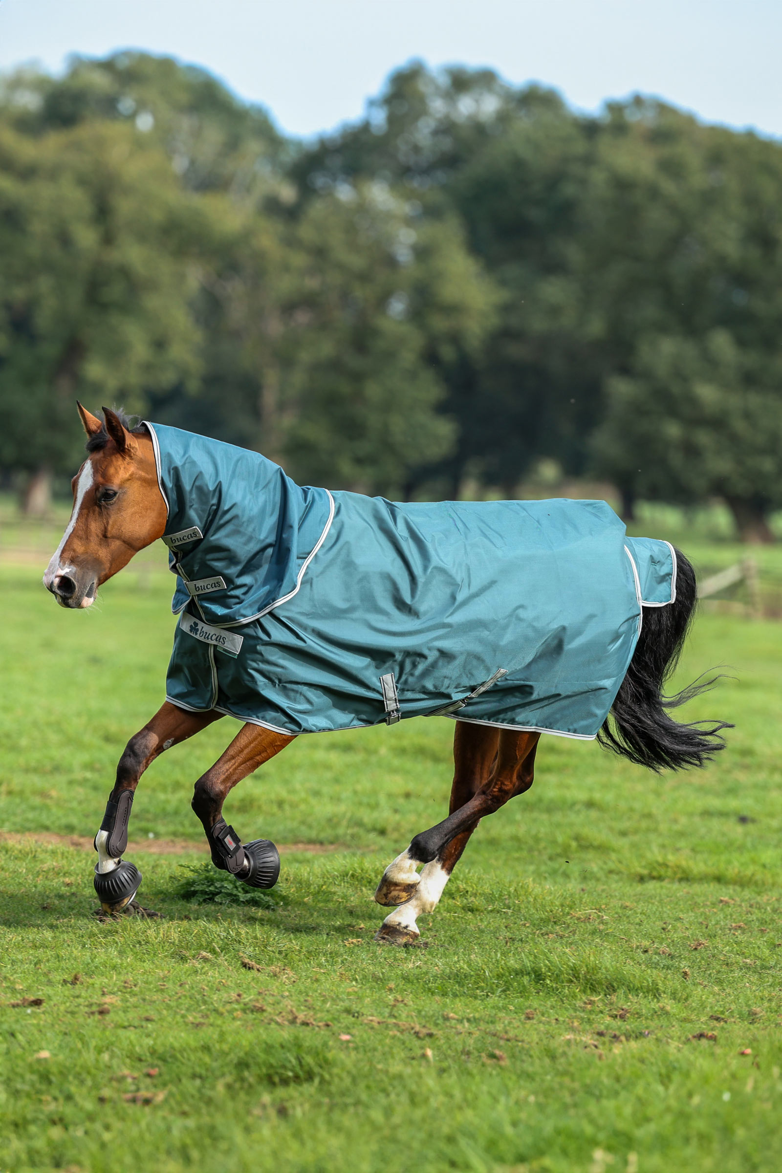 Bucas Atlantic Turnout halst&auml;cke, 50 g