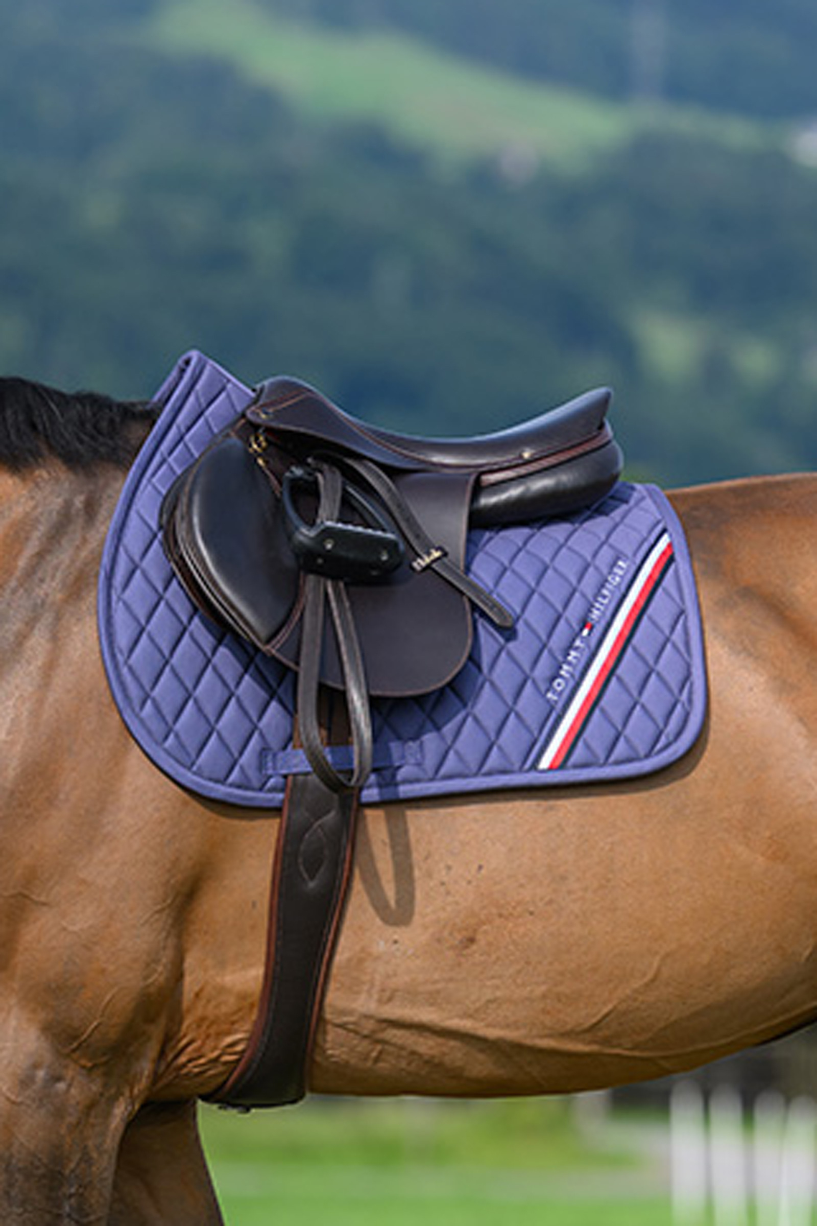 Tommy Hilfiger Equestrian Stanford hoppschabrak