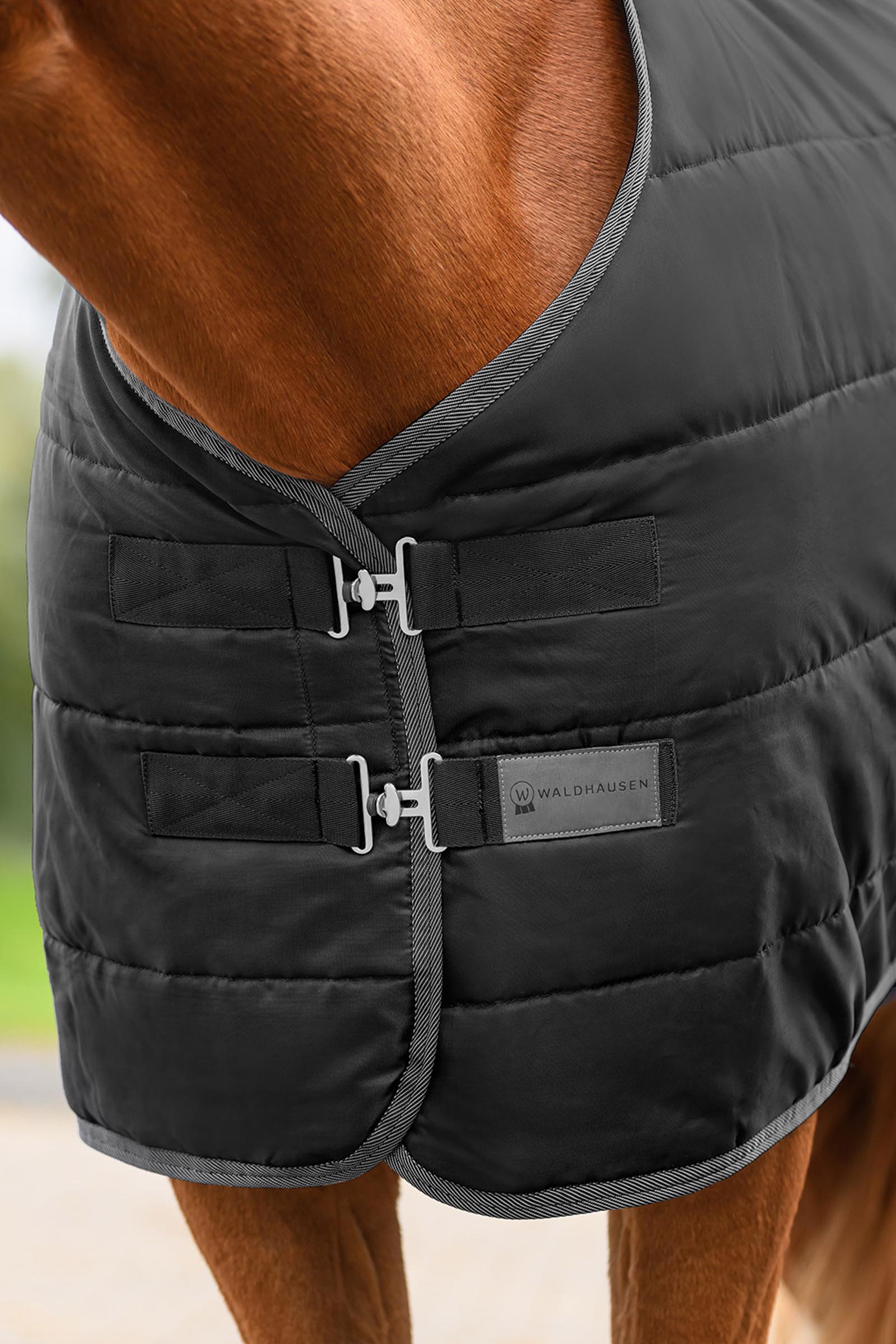 Waldhausen ECONOMIC stallt&auml;cke, 100g