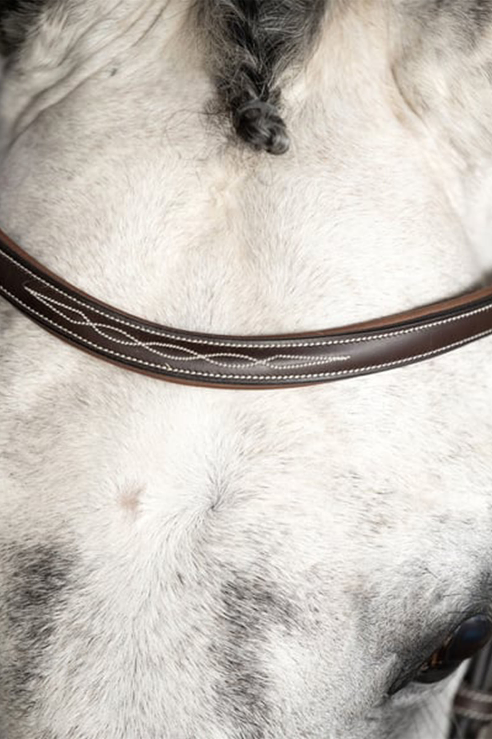 PS of Sweden Ocala tr&auml;ns