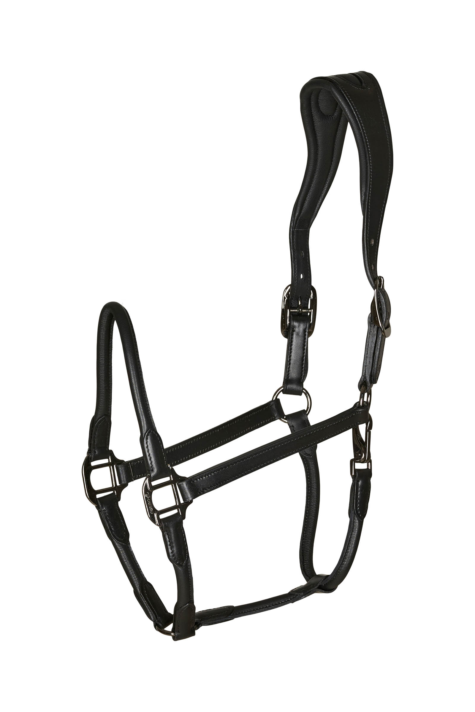 Black Catago leather halter with round-stitched noseband