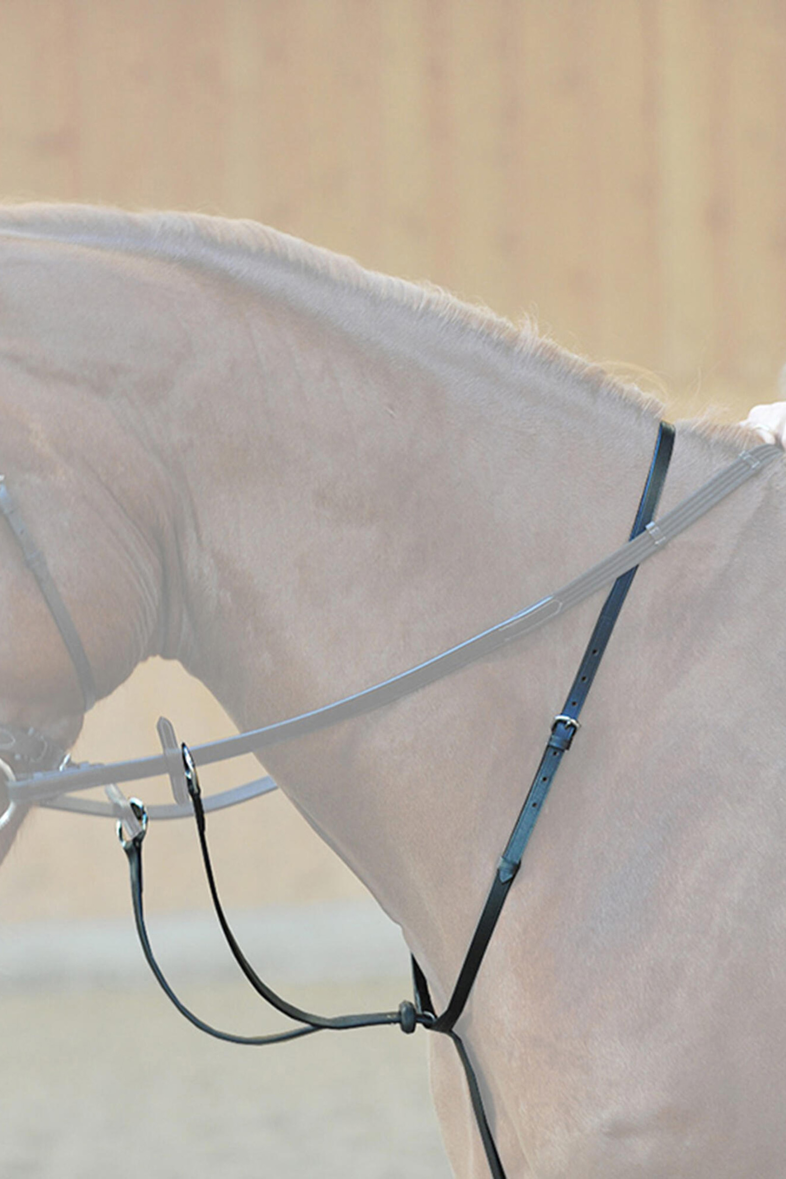 Kavalkade Ecoline Martingal med stoppare