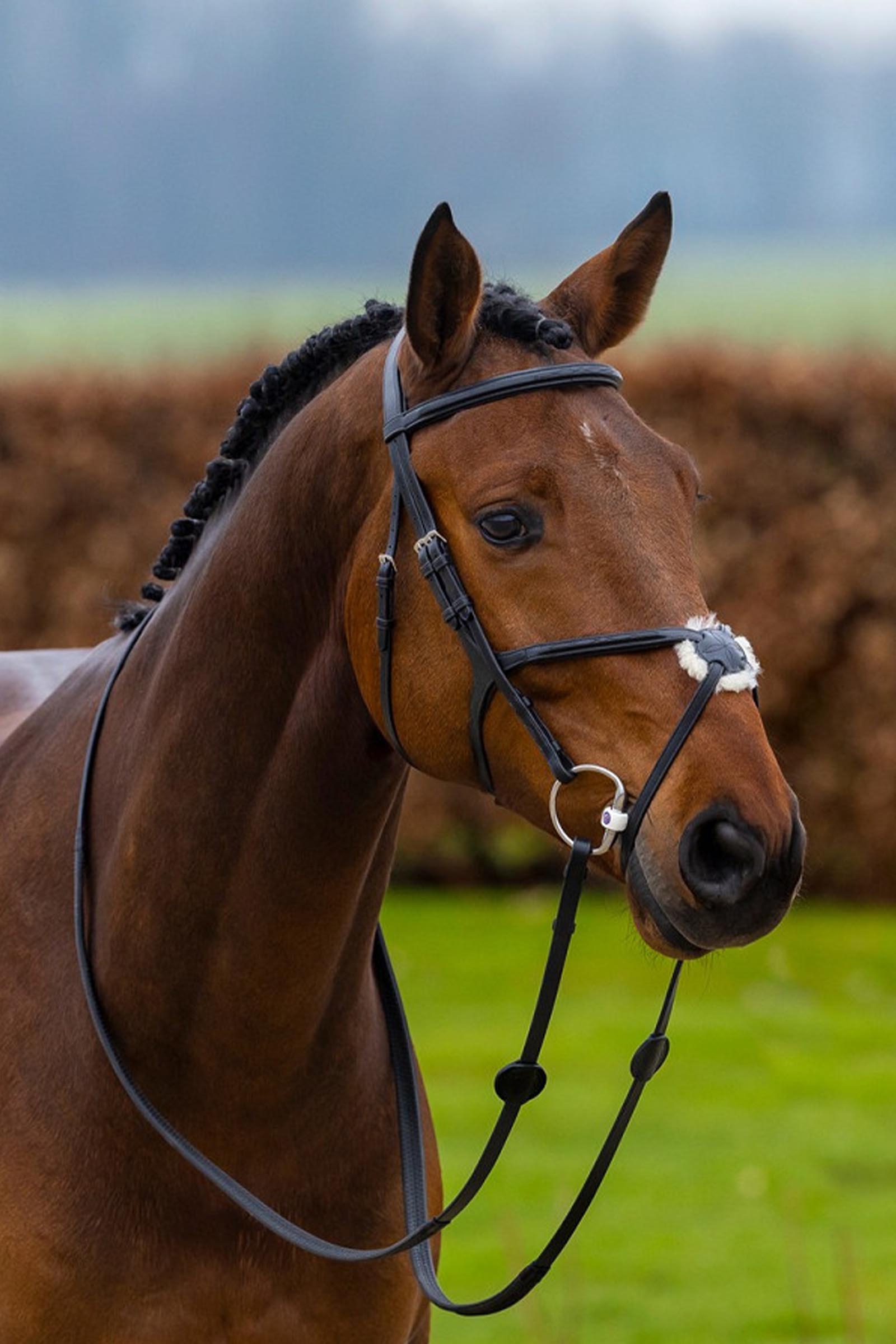 Trust Equestrian Oslo Bridle med mexikansk nosgrimma