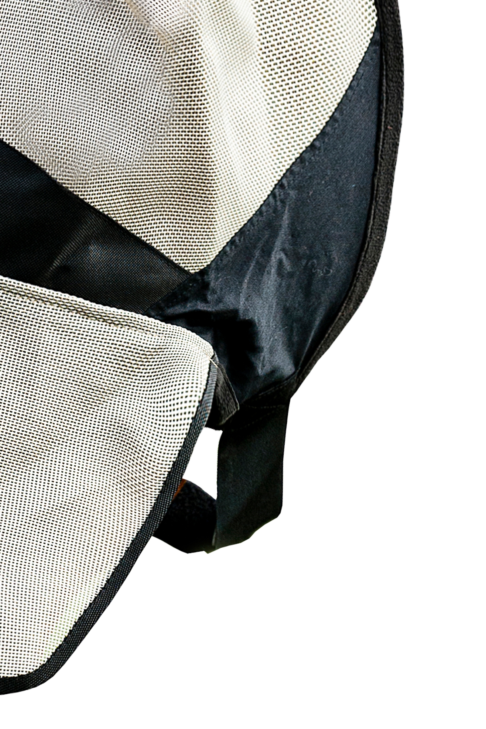 Horze flughuva med lång nos