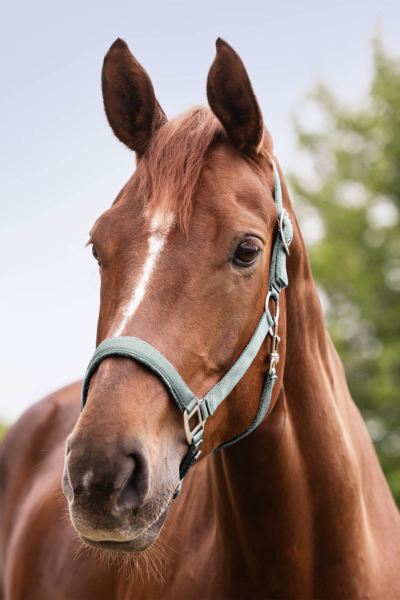 Waldhausen Perlon Satin H&aring;llare 