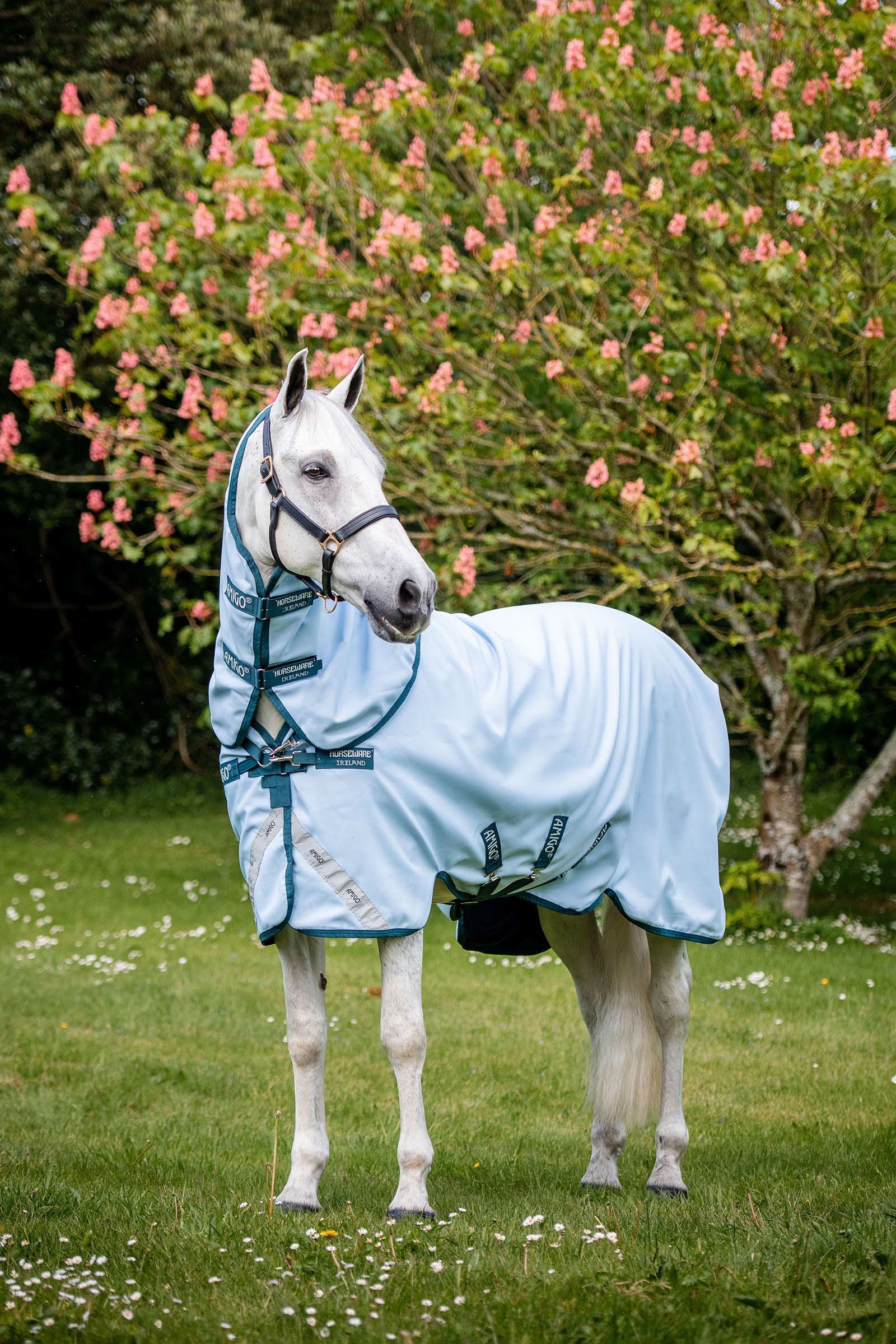 Horseware Amigo Plant Dye Turnout utetäcke, 50g